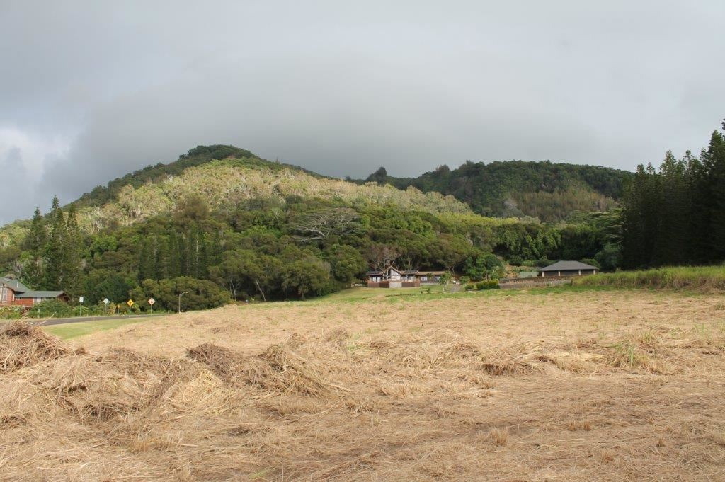 2711 Kamaile St 135 Wailuku, Hi vacant land for sale - photo 6 of 22