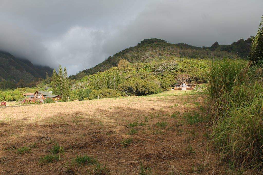 2711 Kamaile St 135 Wailuku, Hi vacant land for sale - photo 10 of 22