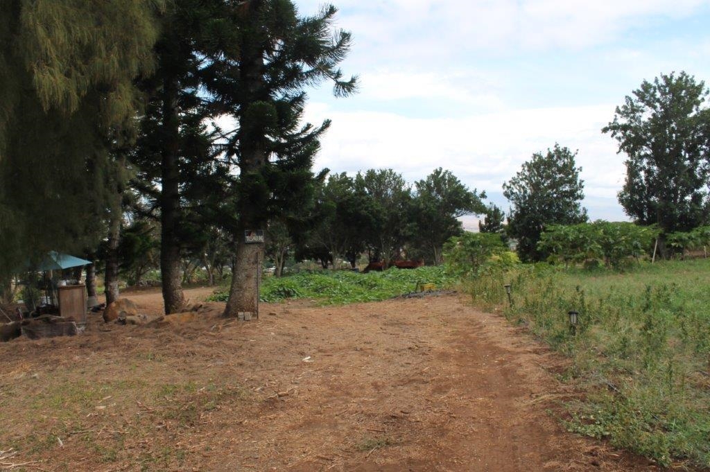 272 Maika St  Wailuku, Hi vacant land for sale - photo 20 of 30