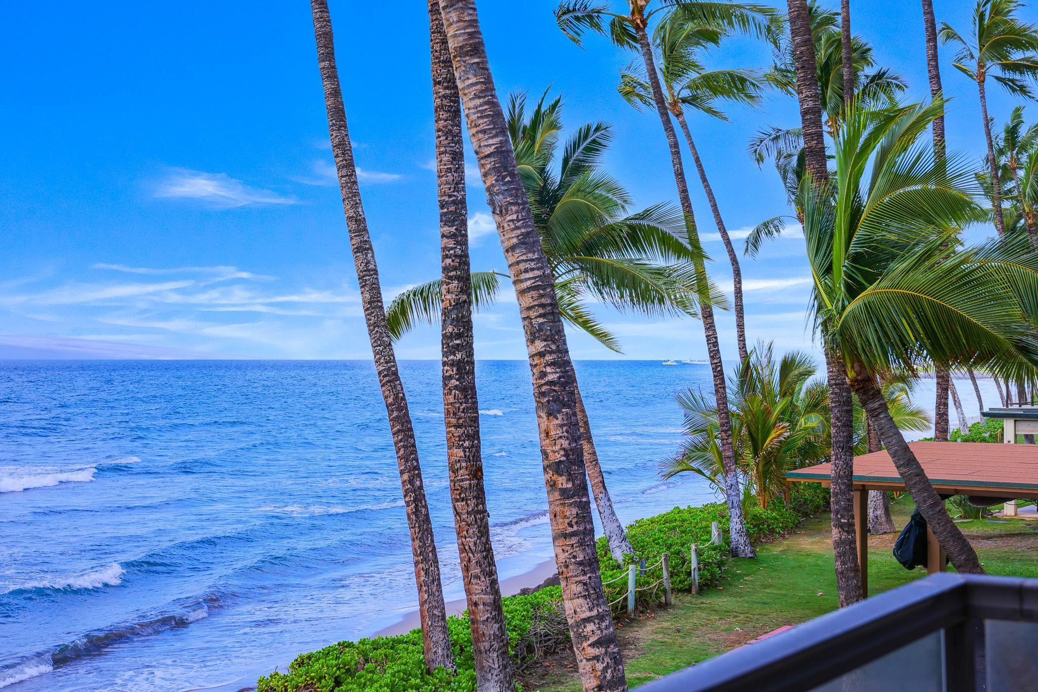 Puamana condo # 272-3, Lahaina, Hawaii - photo 39 of 43