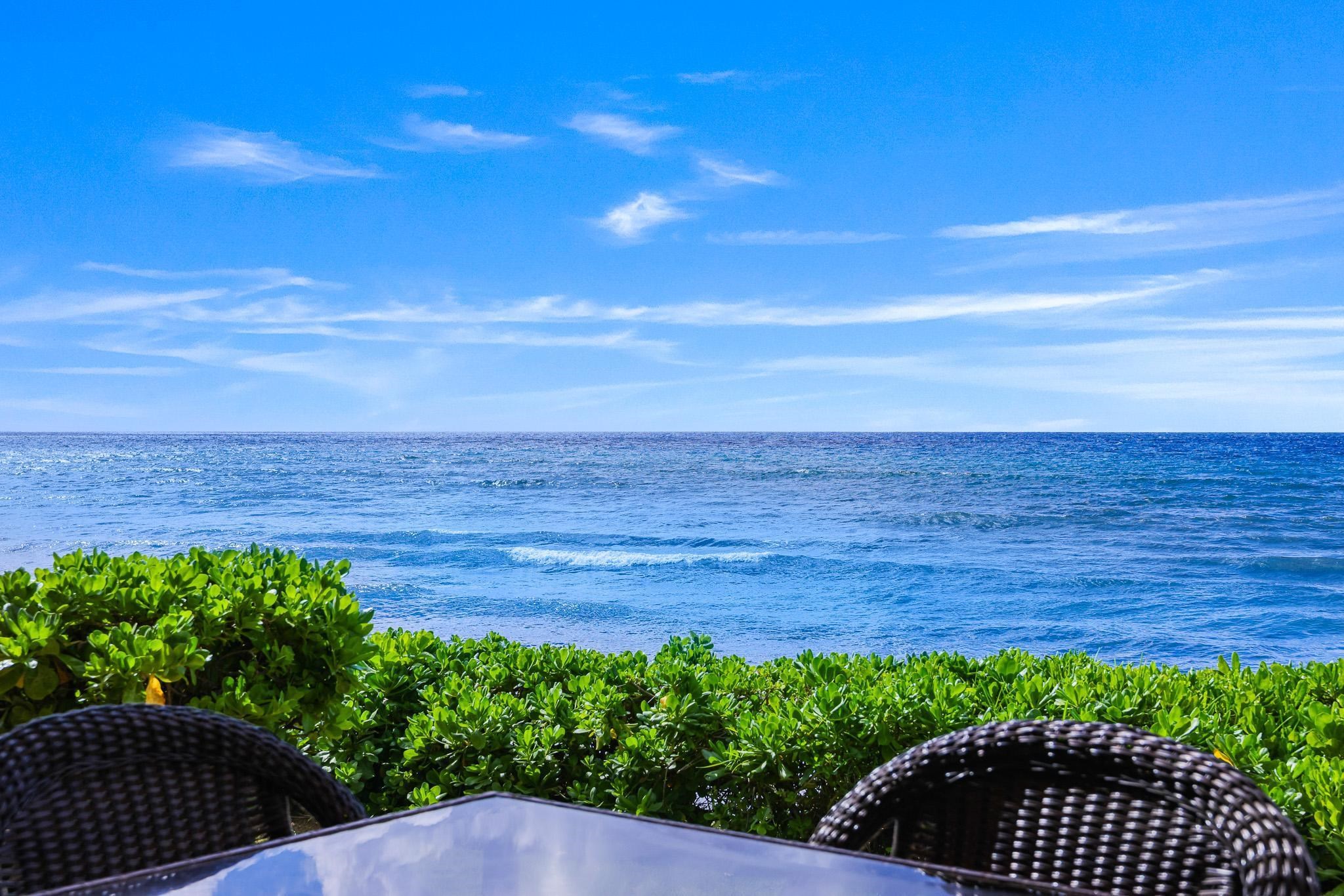 Puamana condo # 272-3, Lahaina, Hawaii - photo 40 of 43