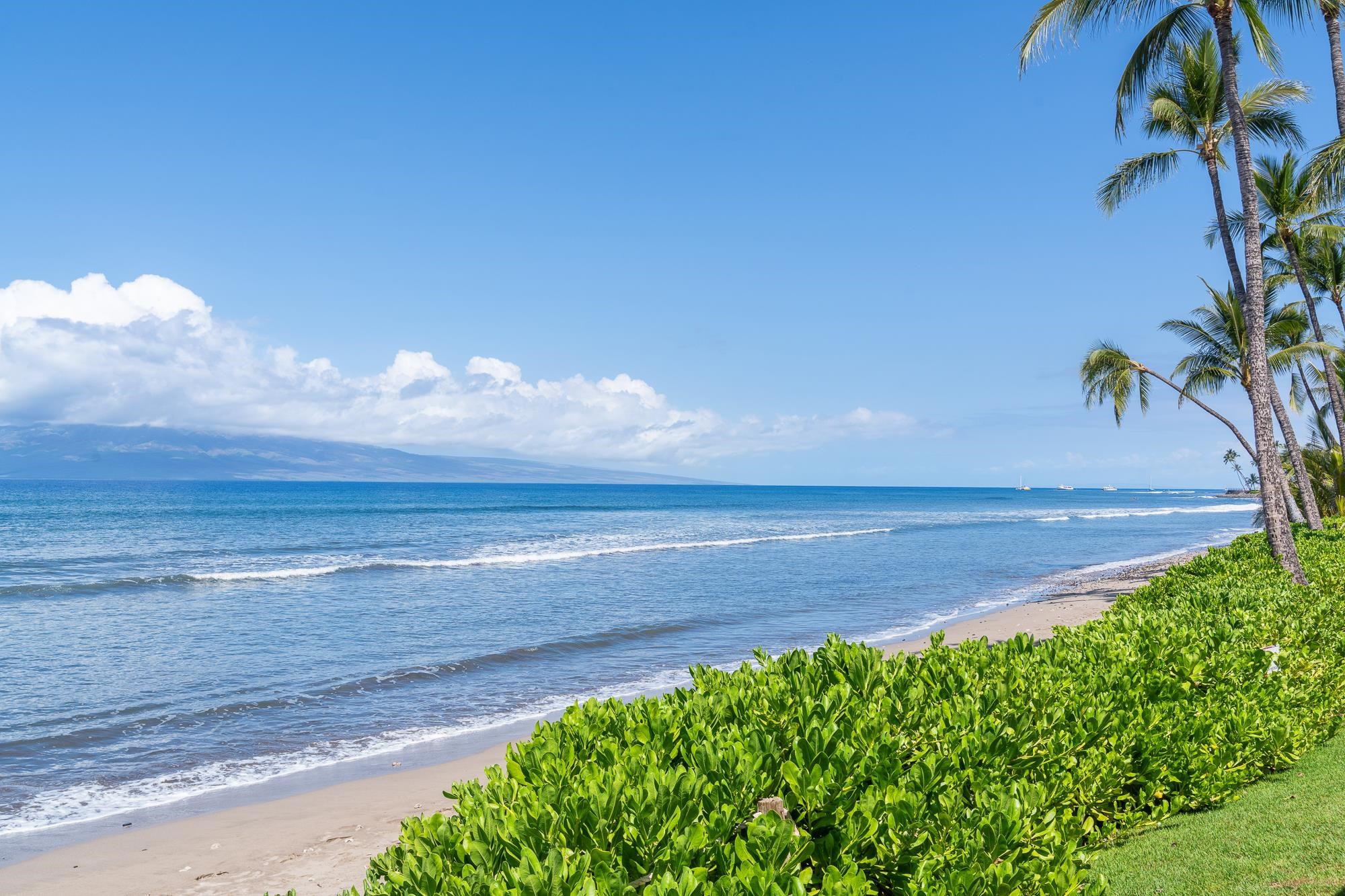 Puamana condo # 272-6, Lahaina, Hawaii - photo 34 of 50