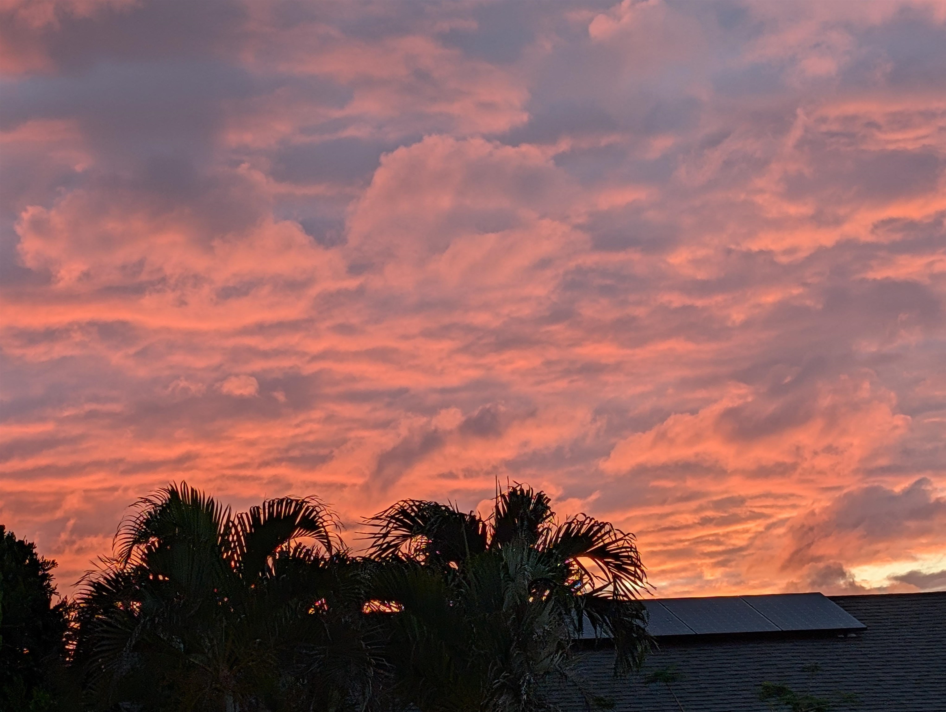 2727  Puu Hoolai St , Kihei home - photo 47 of 49