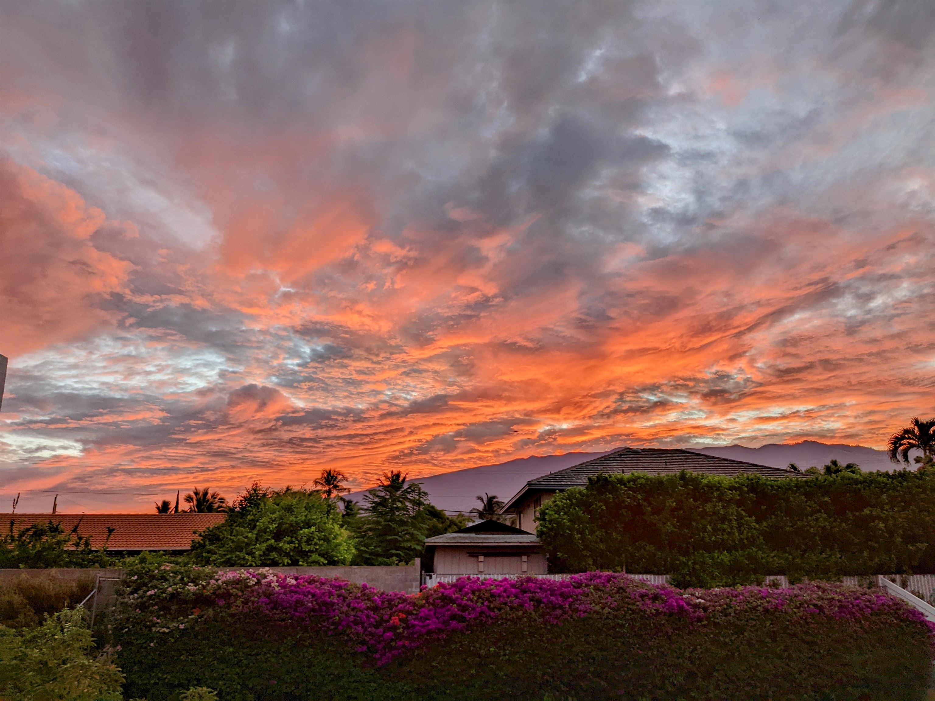 2727  Puu Hoolai St , Kihei home - photo 9 of 49
