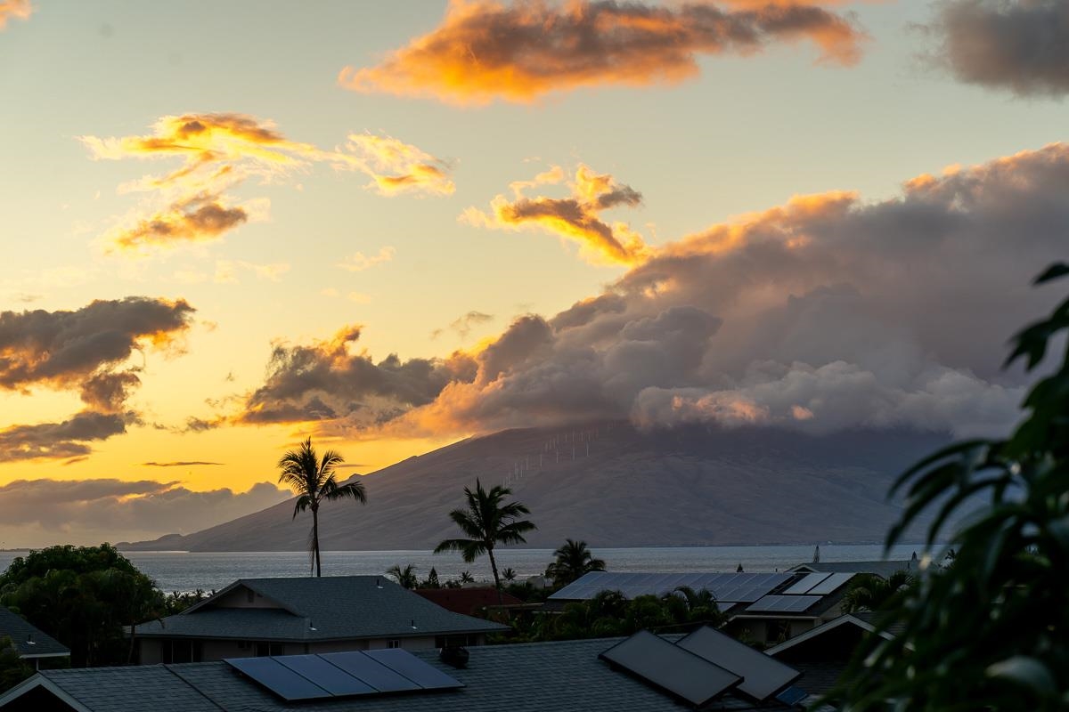 2730  Ohina St , Kihei home - photo 41 of 48