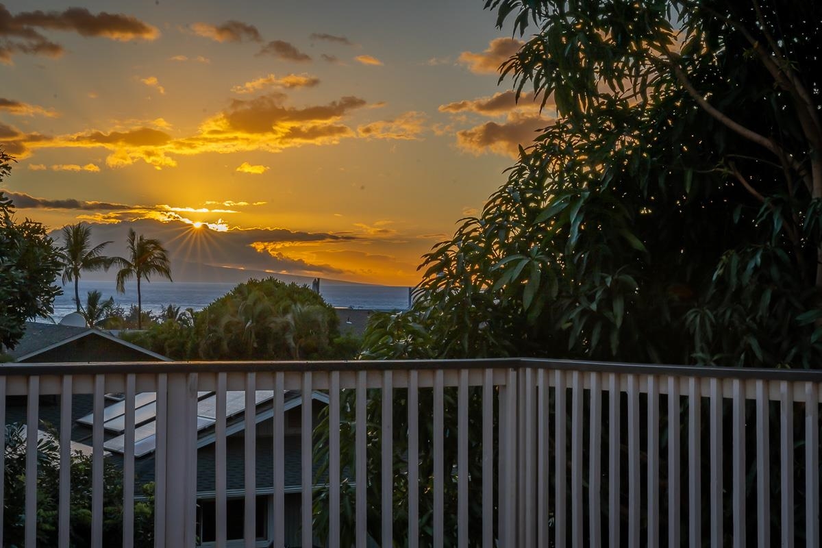 2730  Ohina St , Kihei home - photo 46 of 48