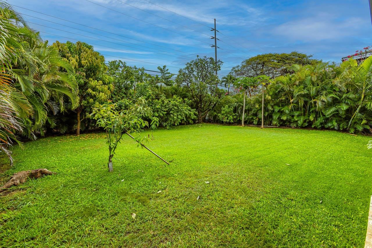 2735  Panepoo St , Kihei home - photo 29 of 36