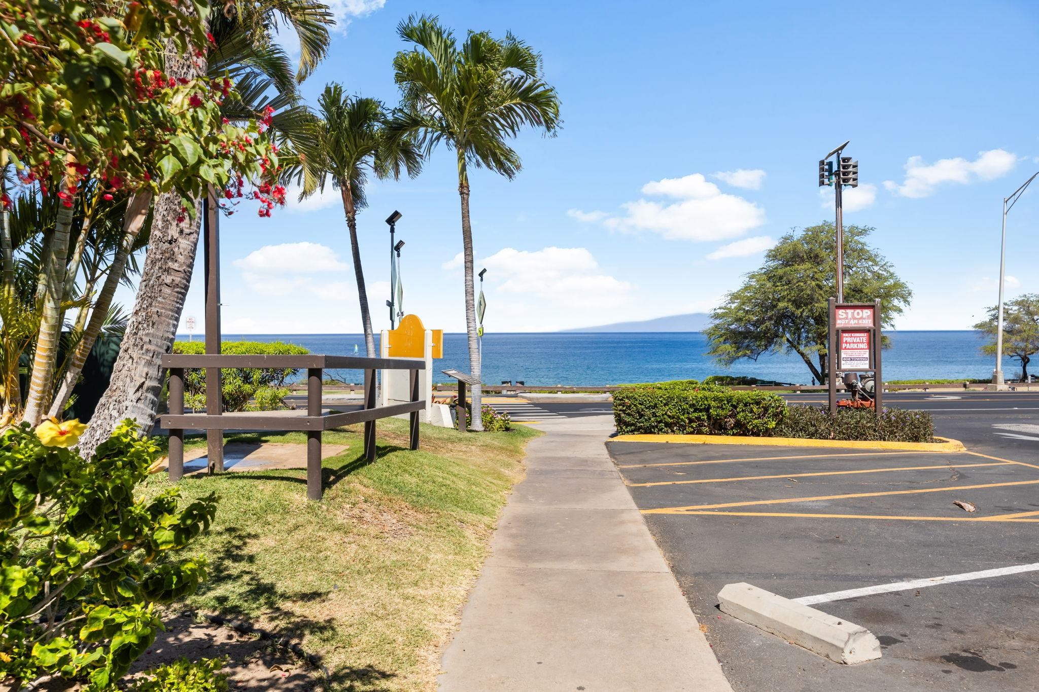 Hale Kamaole condo # 1-102, Kihei, Hawaii - photo 22 of 48