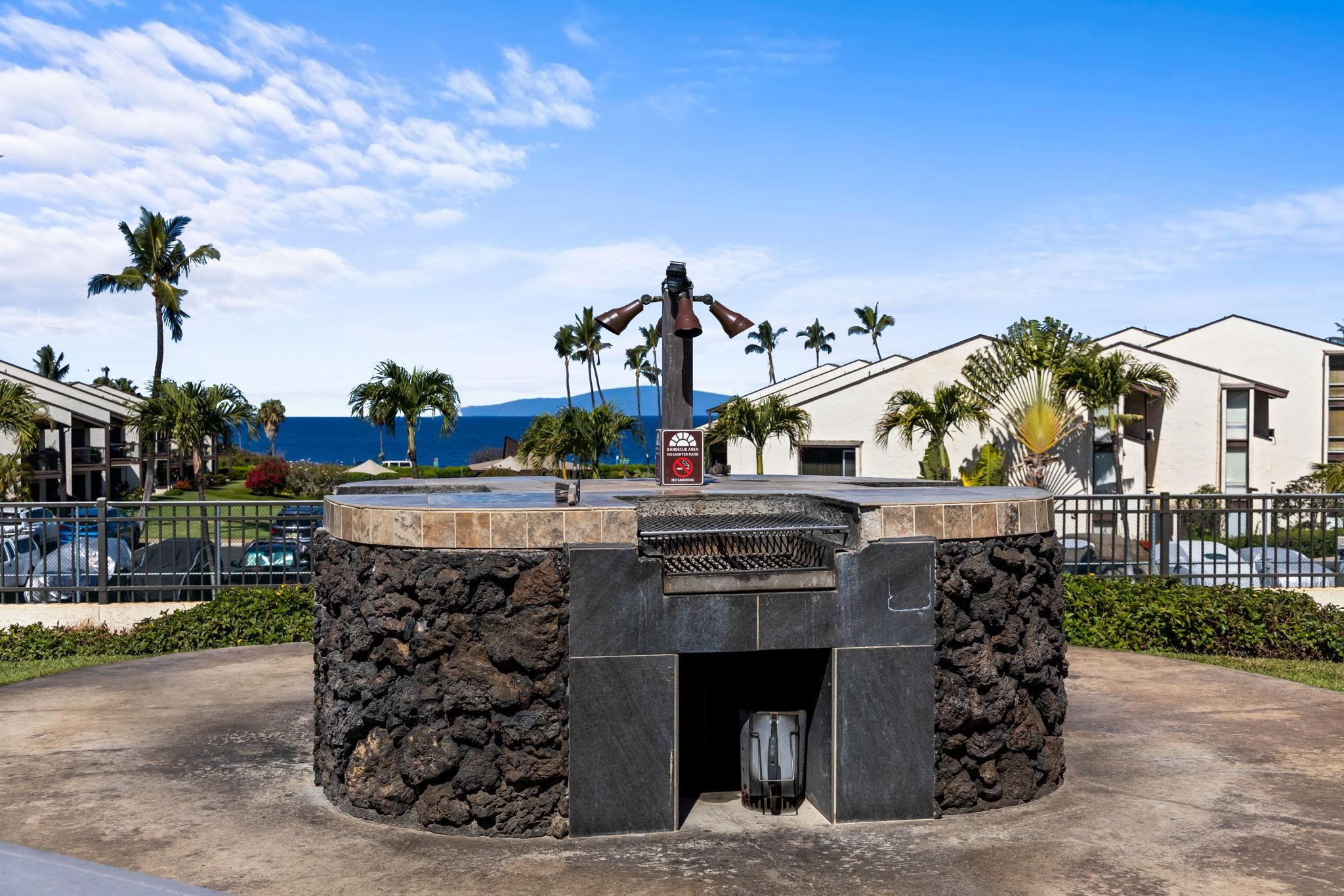 Hale Kamaole condo # 1-102, Kihei, Hawaii - photo 25 of 48