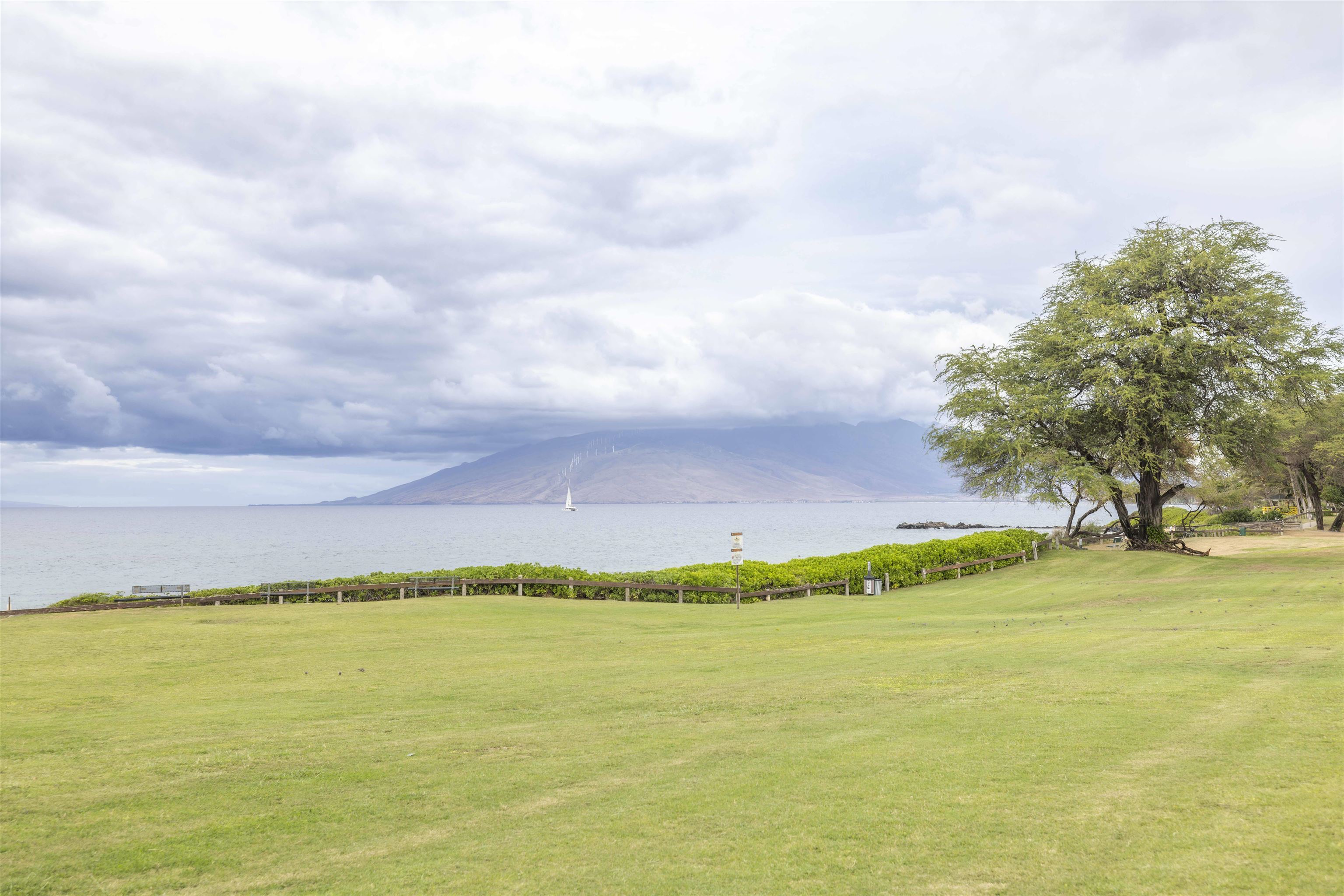 Hale Kamaole condo # 1-217, Kihei, Hawaii - photo 35 of 47