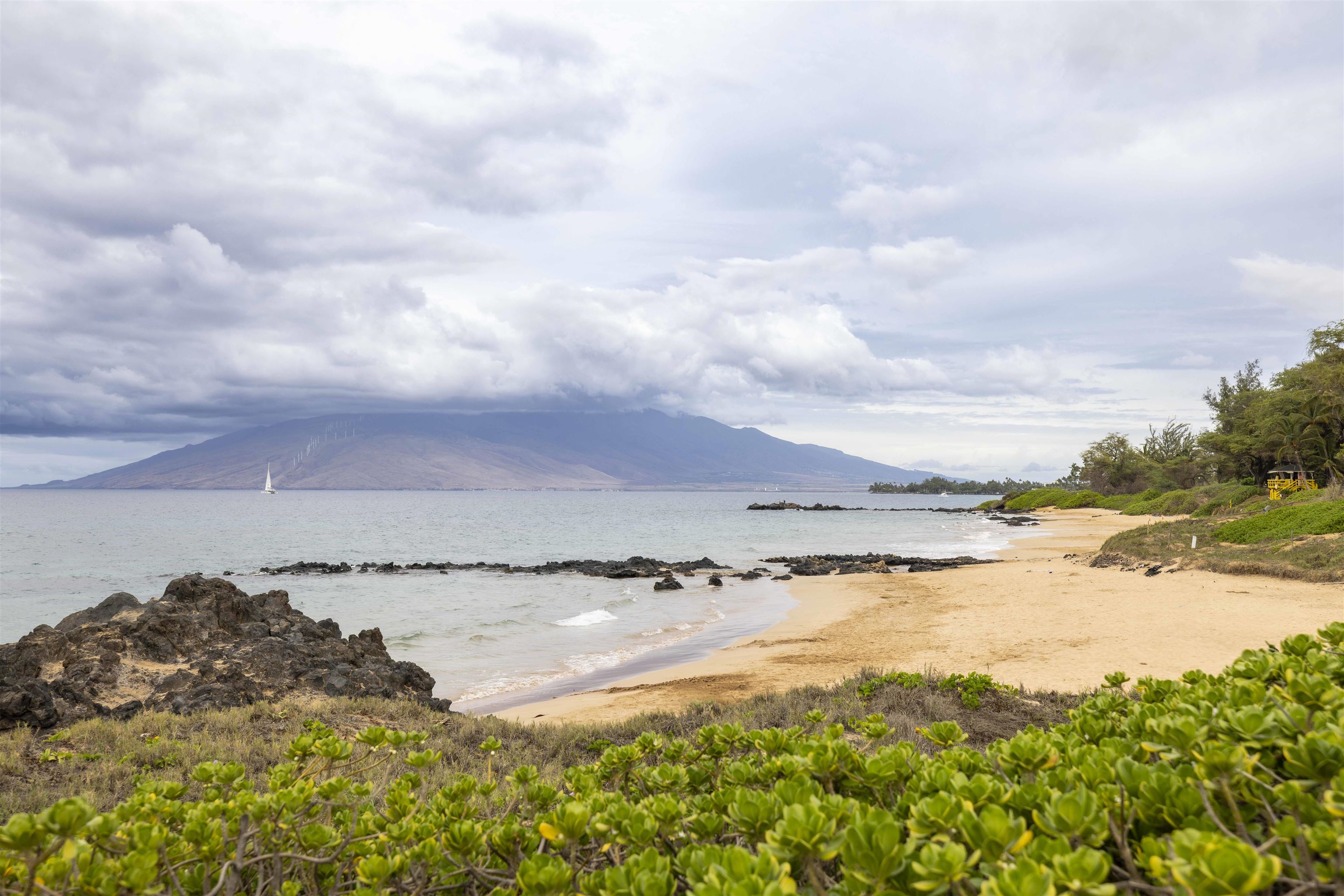 Hale Kamaole condo # 1-217, Kihei, Hawaii - photo 39 of 47