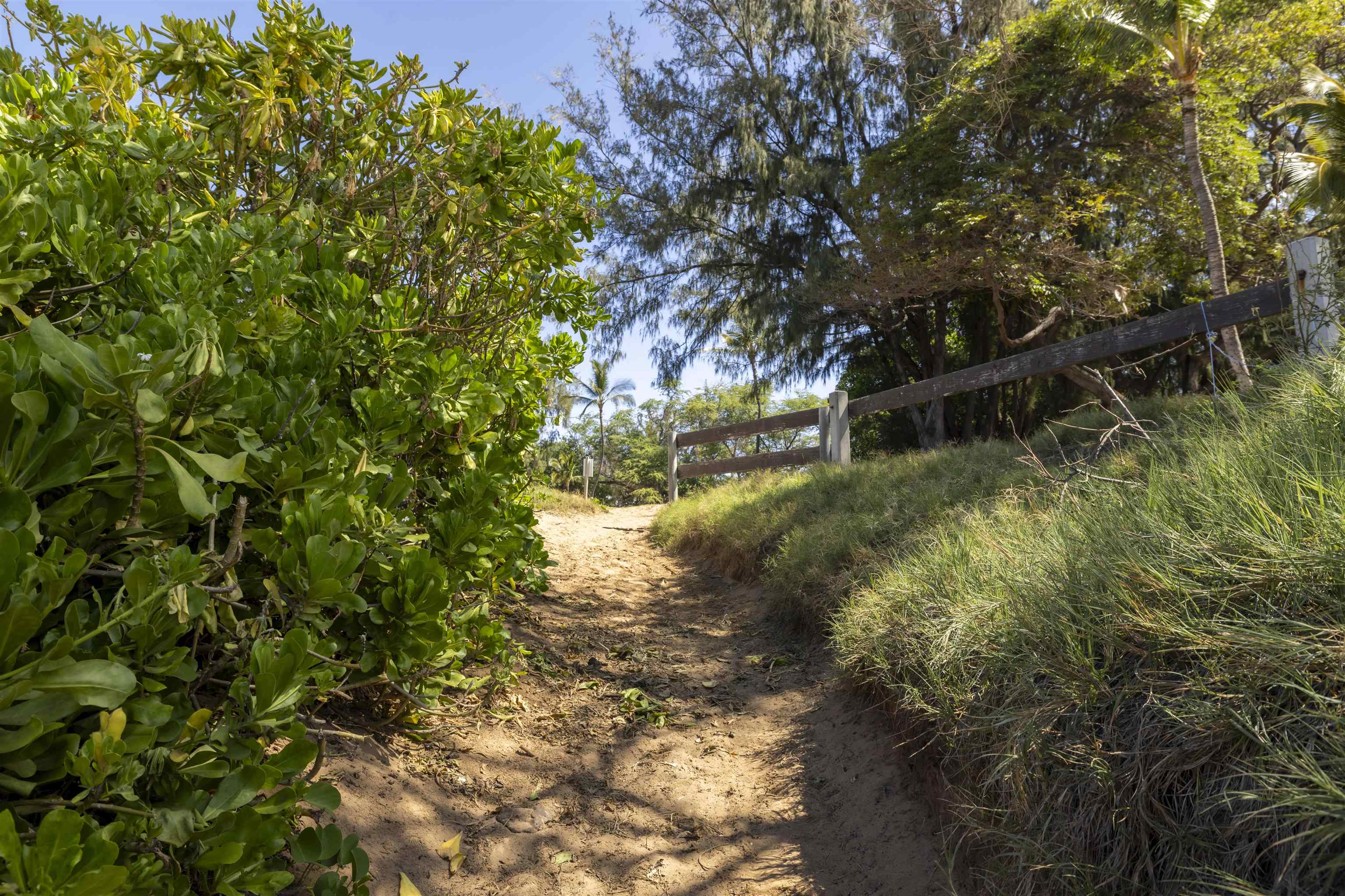 Hale Kamaole condo # 1-217, Kihei, Hawaii - photo 42 of 47