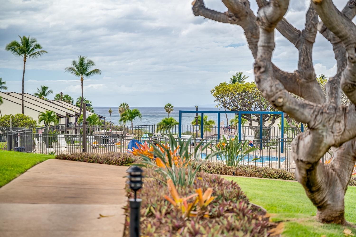 Hale Kamaole condo # 142, Kihei, Hawaii - photo 36 of 43
