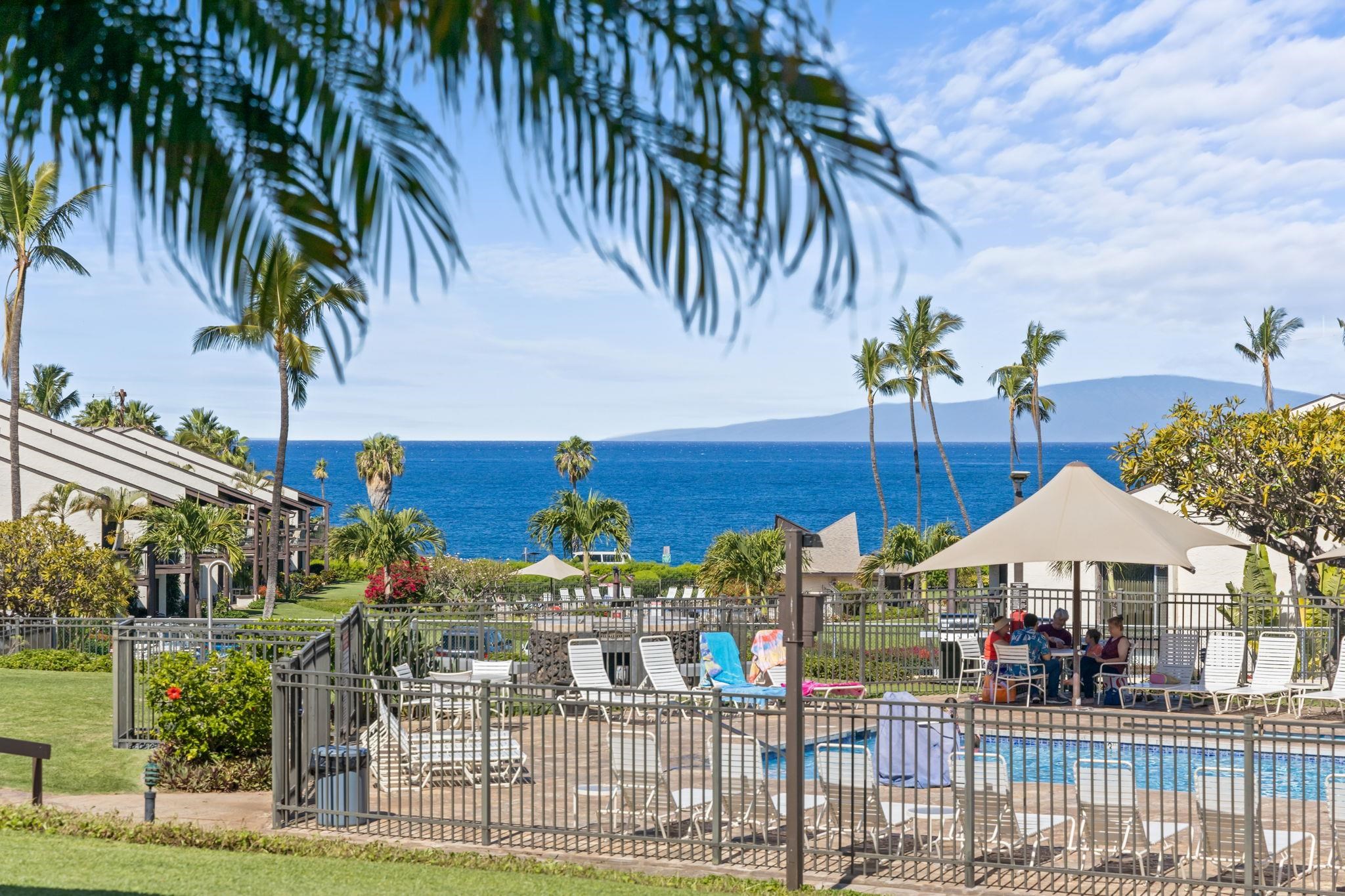 Hale Kamaole condo # 145, Kihei, Hawaii - photo 23 of 50