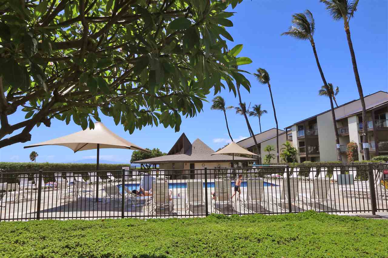 Hale Kamaole condo # 203, Kihei, Hawaii - photo 19 of 30