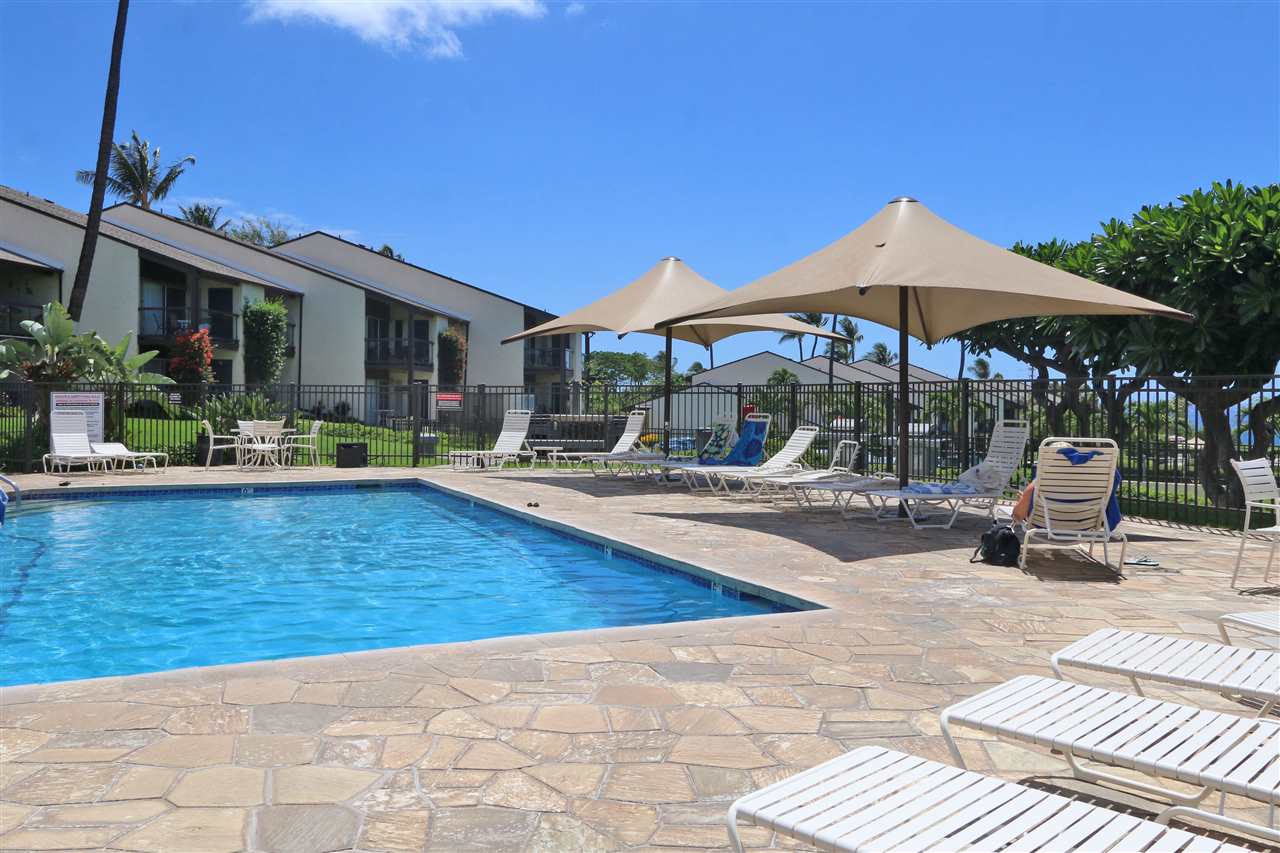 Hale Kamaole condo # 203, Kihei, Hawaii - photo 20 of 30