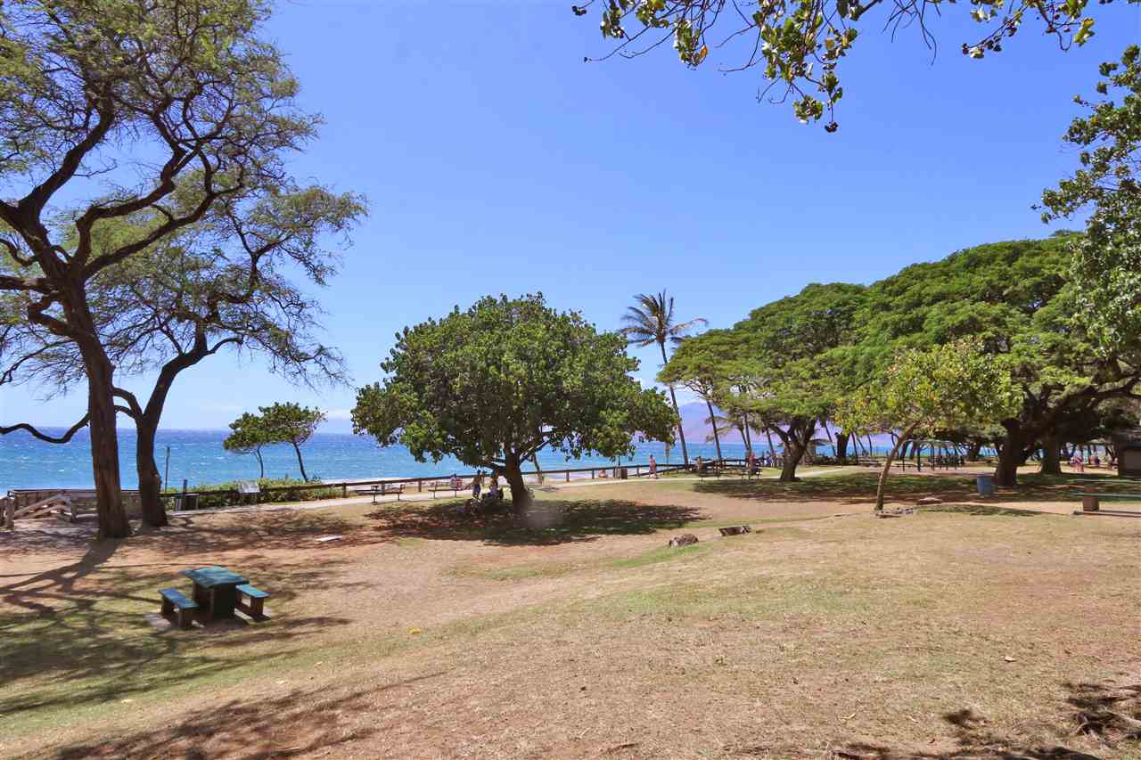 Hale Kamaole condo # 203, Kihei, Hawaii - photo 23 of 30
