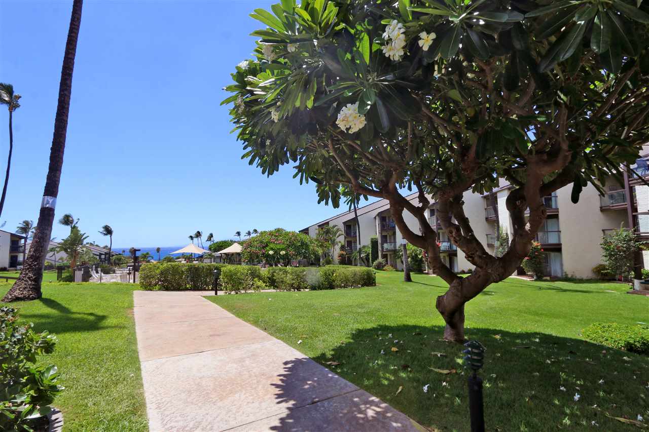 Hale Kamaole condo # 203, Kihei, Hawaii - photo 25 of 30