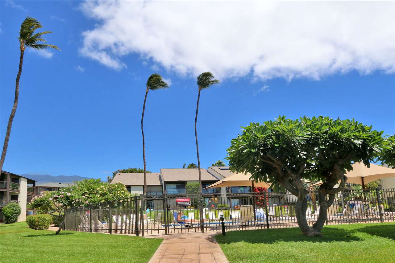 Hale Kamaole condo # 203, Kihei, Hawaii - photo 26 of 30