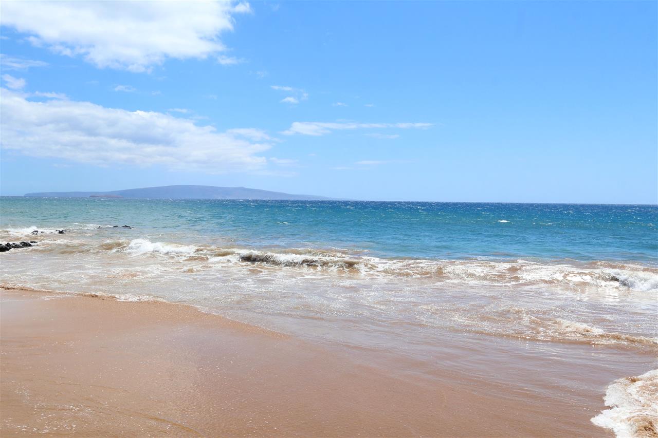 Hale Kamaole condo # 203, Kihei, Hawaii - photo 28 of 30