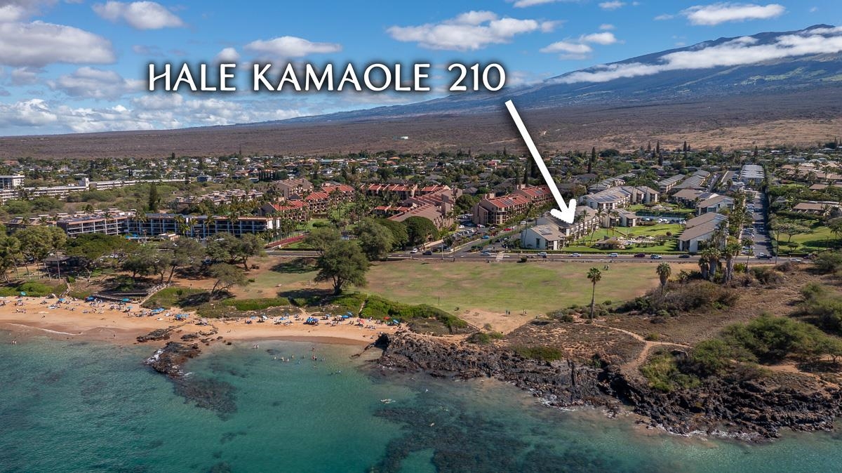 Hale Kamaole condo # 210, Kihei, Hawaii - photo 40 of 40