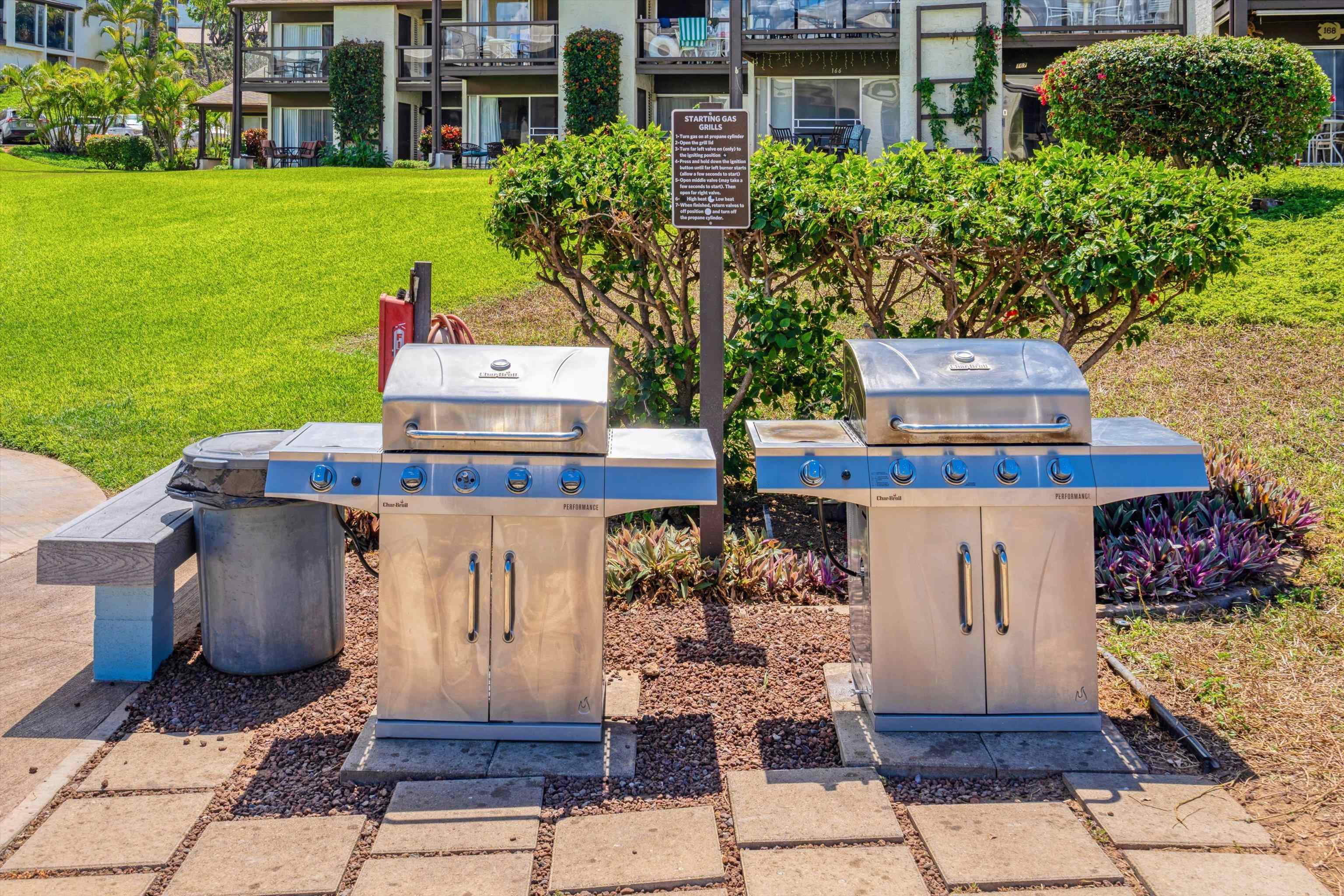 Hale Kamaole condo # 2-127, Kihei, Hawaii - photo 23 of 30