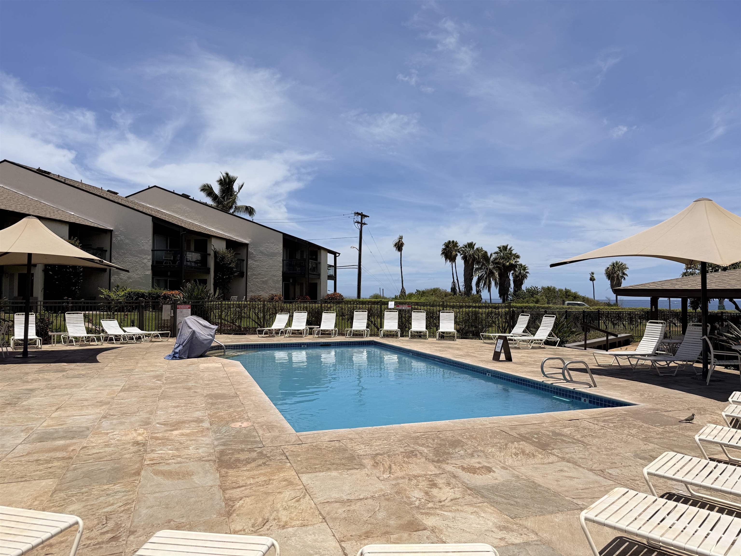 Hale Kamaole condo # 221, Kihei, Hawaii - photo 41 of 43