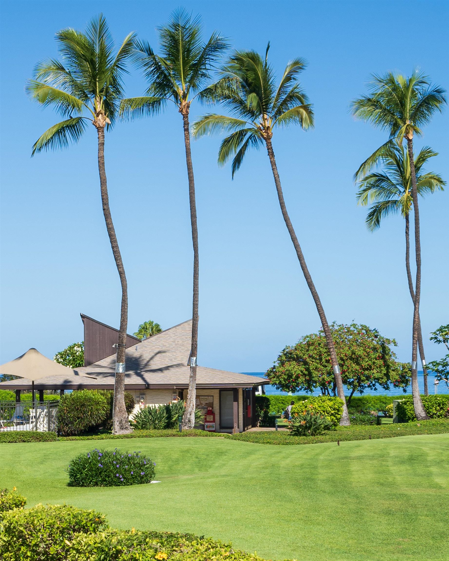 Hale Kamaole condo # 226, Kihei, Hawaii - photo 27 of 30