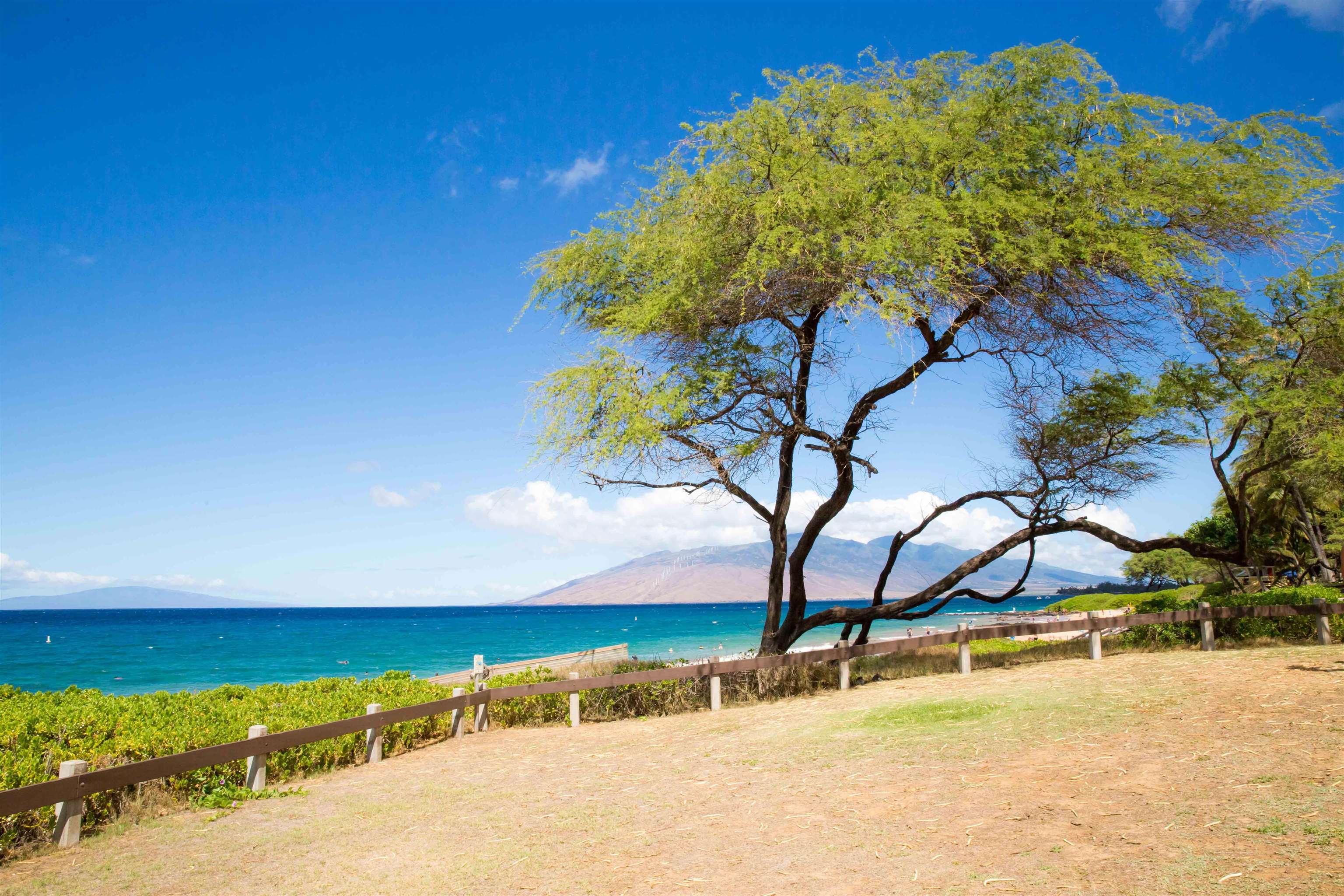 Hale Kamaole condo # 240, Kihei, Hawaii - photo 13 of 18