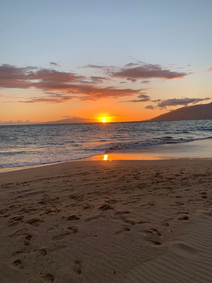 Hale Kamaole condo # 240, Kihei, Hawaii - photo 17 of 18