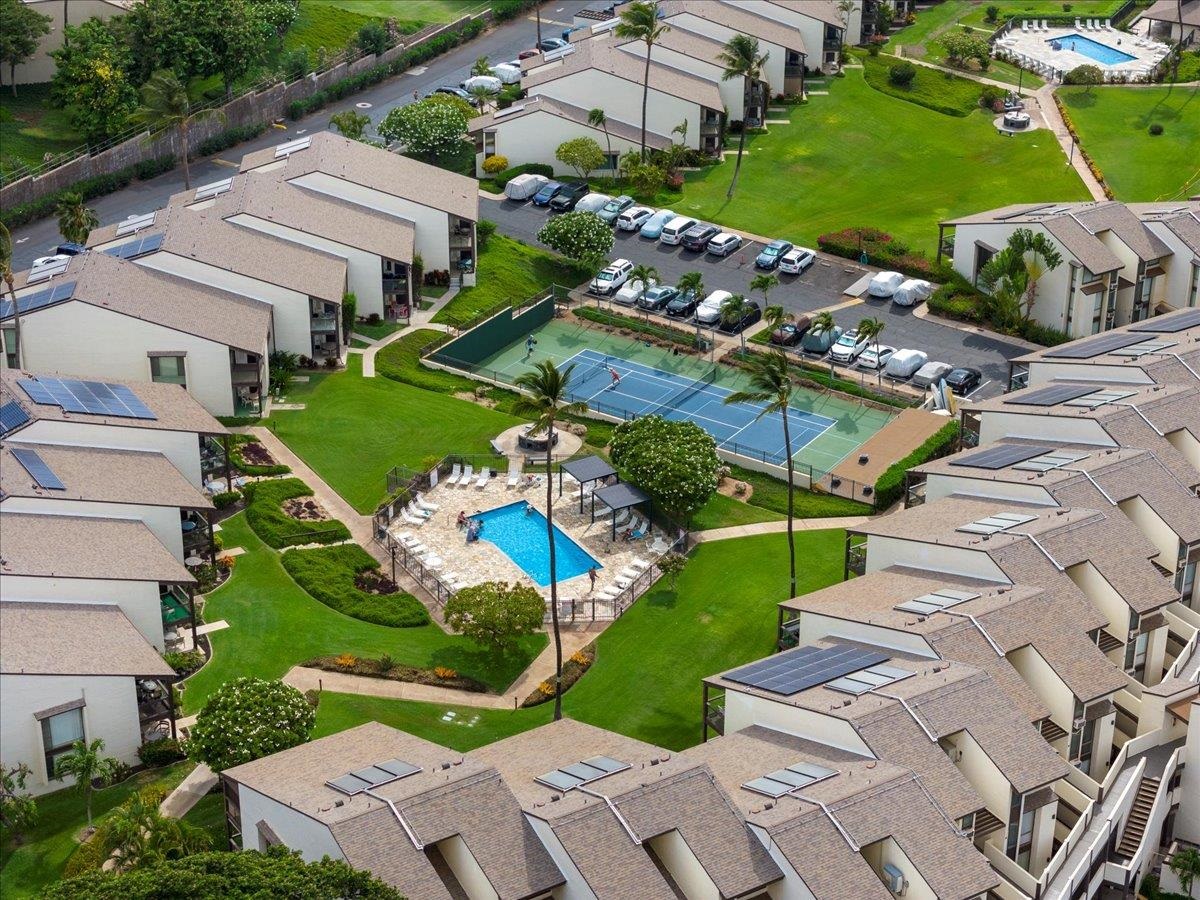 Hale Kamaole condo # 244, Kihei, Hawaii - photo 3 of 41