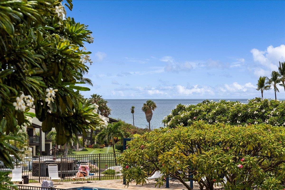 Hale Kamaole condo # 244, Kihei, Hawaii - photo 30 of 41