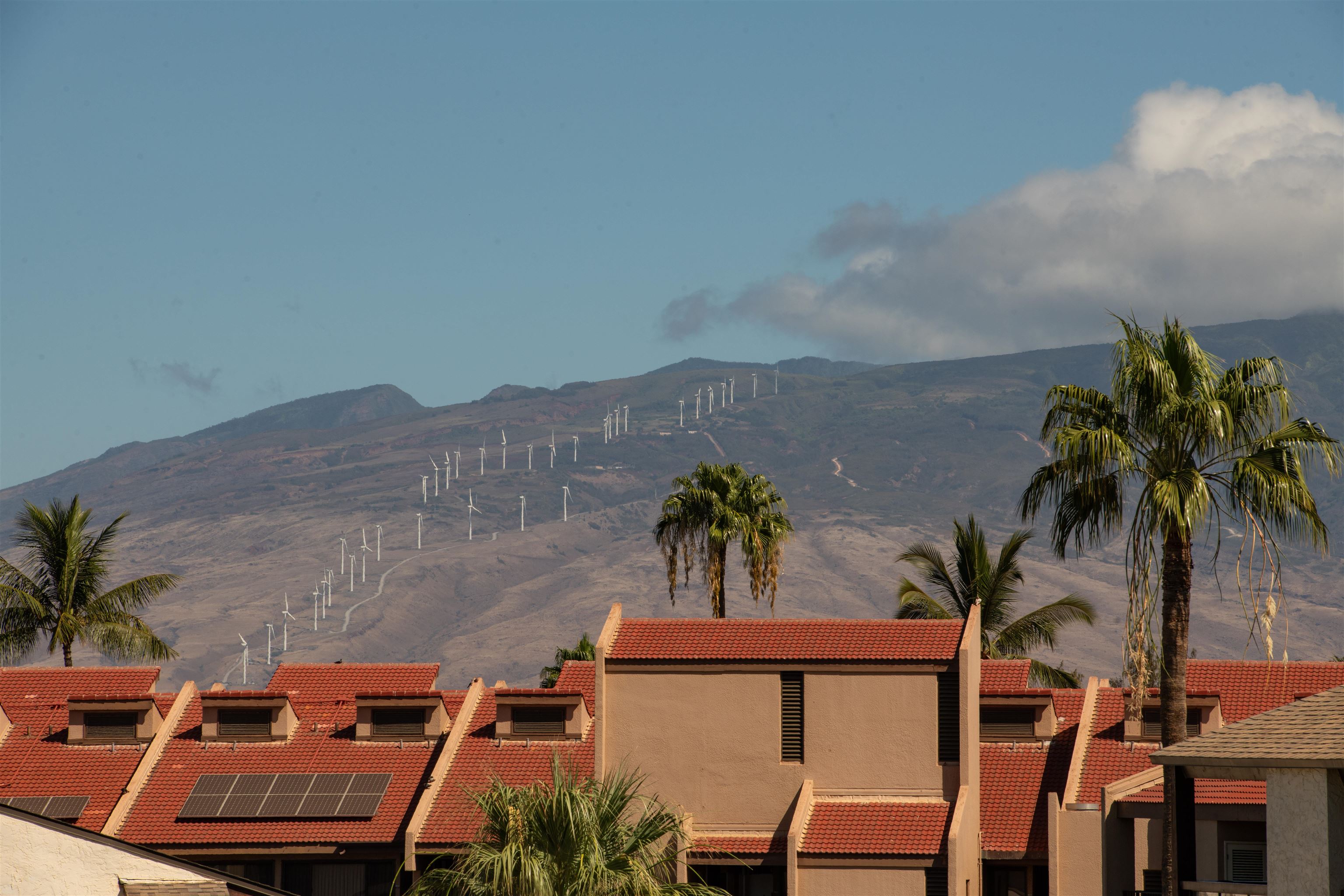 Hale Kamaole condo # 3-251, Kihei, Hawaii - photo 41 of 43