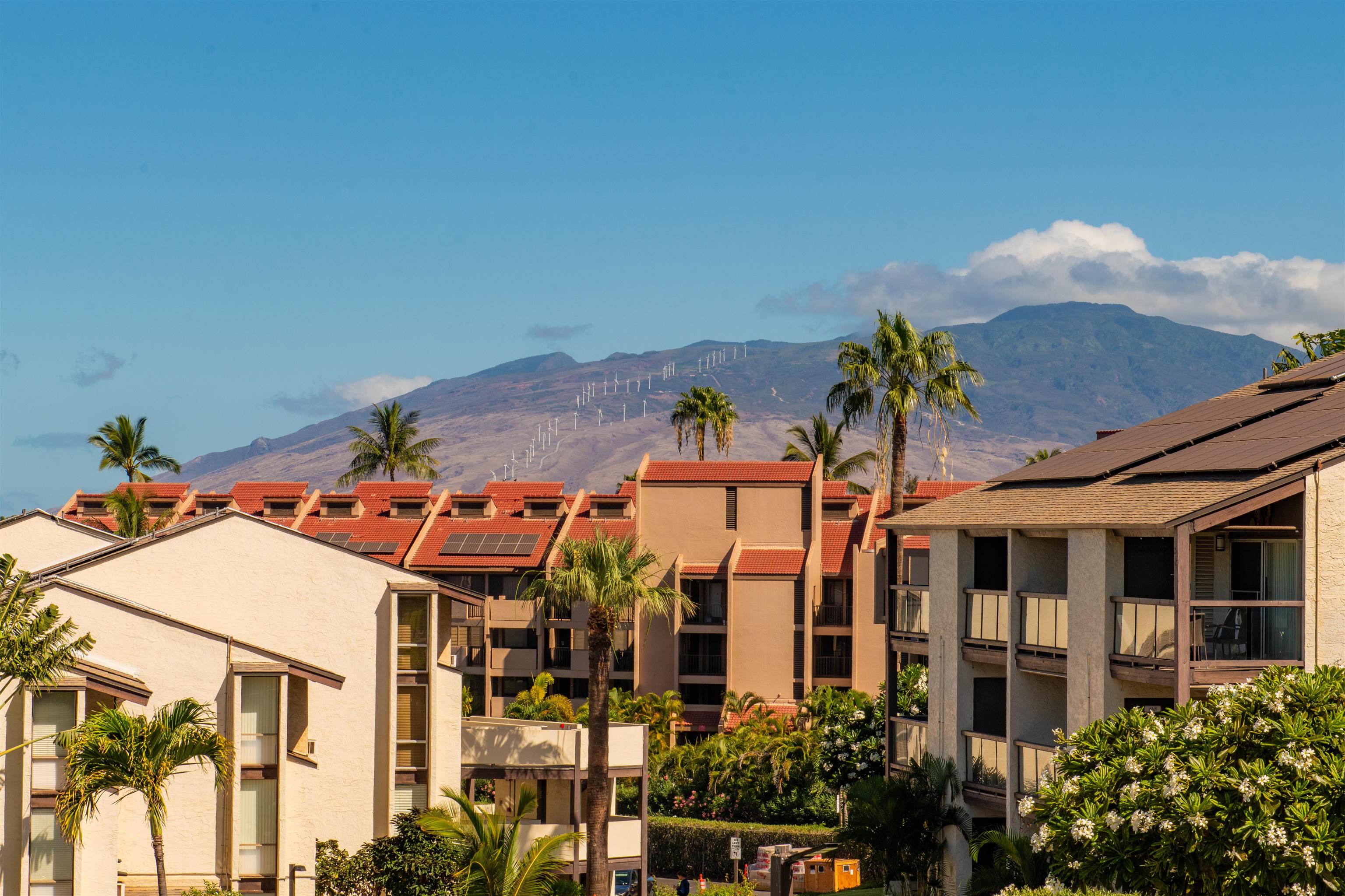 Hale Kamaole condo # 3-251, Kihei, Hawaii - photo 42 of 43