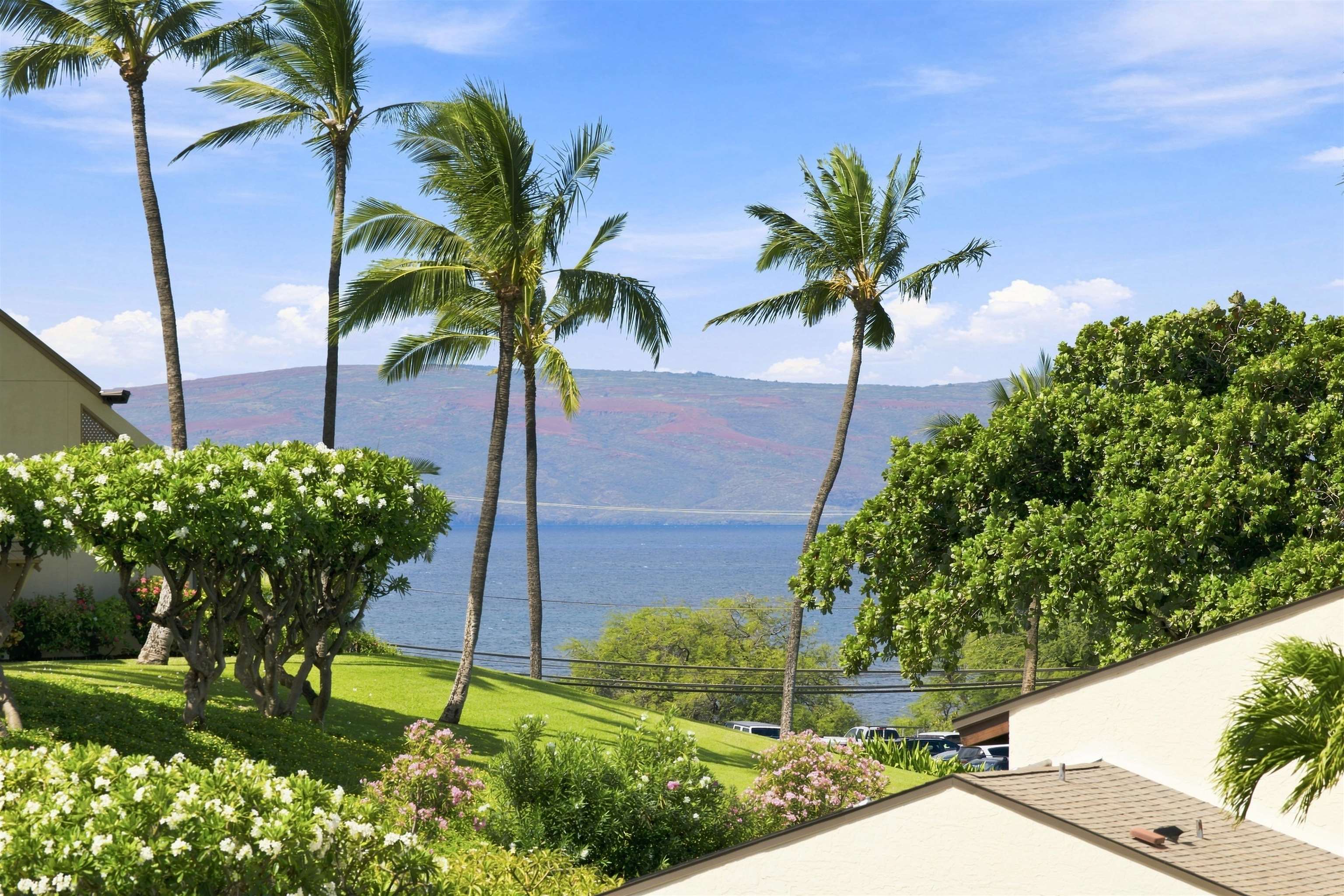 Hale Kamaole condo # 330, Kihei, Hawaii - photo 3 of 10