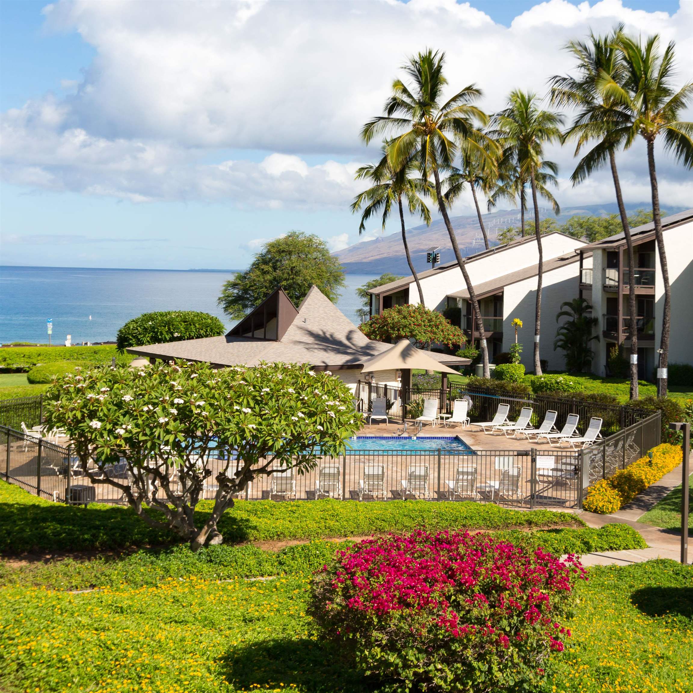 Hale Kamaole condo # 336, Kihei, Hawaii - photo 27 of 38