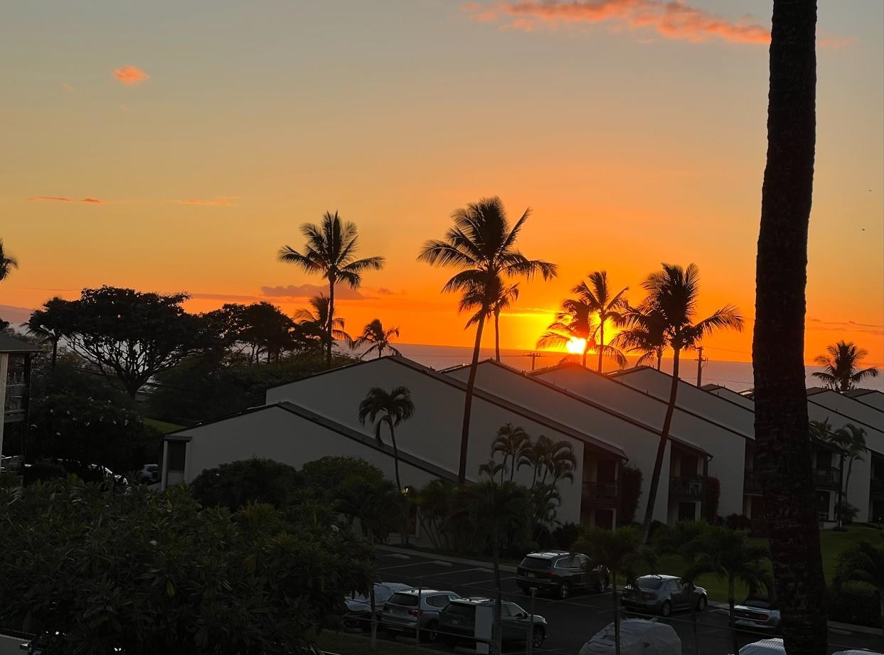 Hale Kamaole condo # 336, Kihei, Hawaii - photo 28 of 38