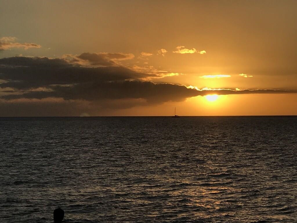 Hale Kamaole condo # 336, Kihei, Hawaii - photo 32 of 38