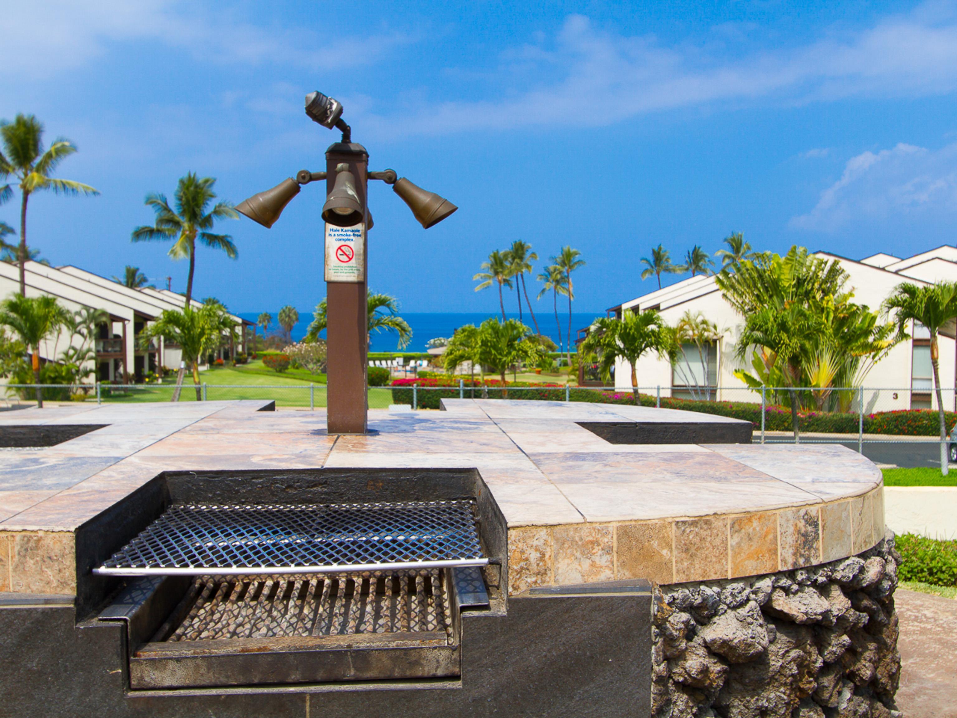 Hale Kamaole condo # 336, Kihei, Hawaii - photo 37 of 38