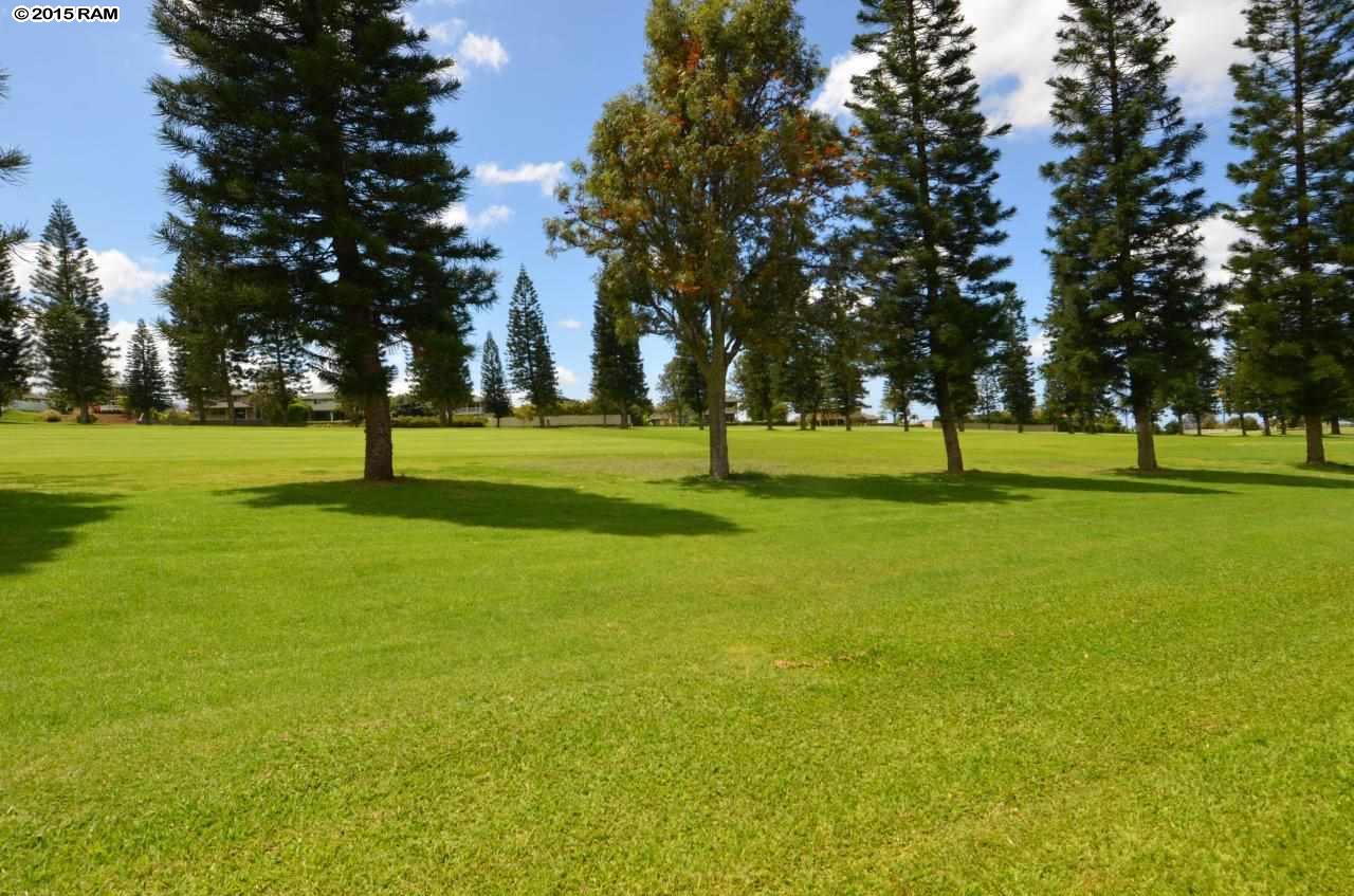 Liholani Golf Villas condo # 4, Makawao, Hawaii - photo 20 of 20