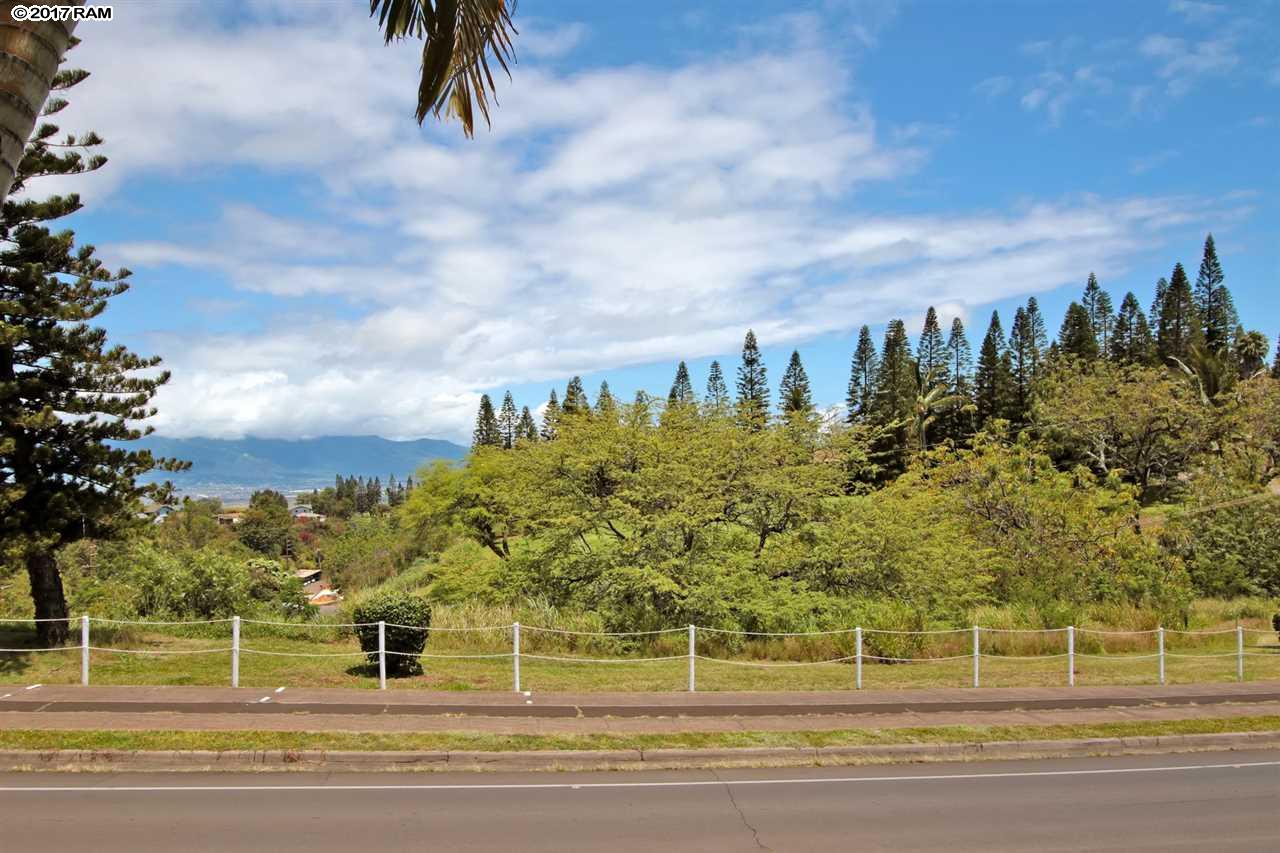 Liholani Golf Villas condo # 1, Makawao, Hawaii - photo 17 of 30