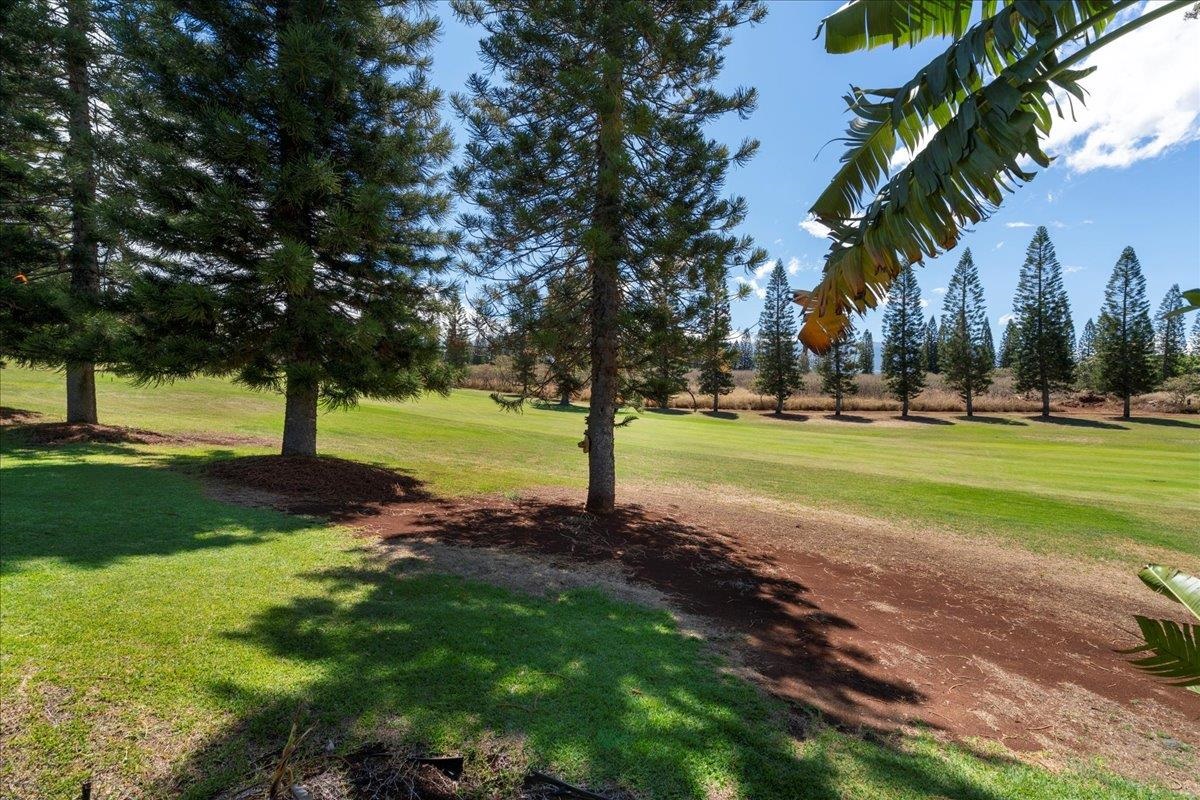 Liholani Golf Villas condo # 10, Pukalani, Hawaii - photo 34 of 50