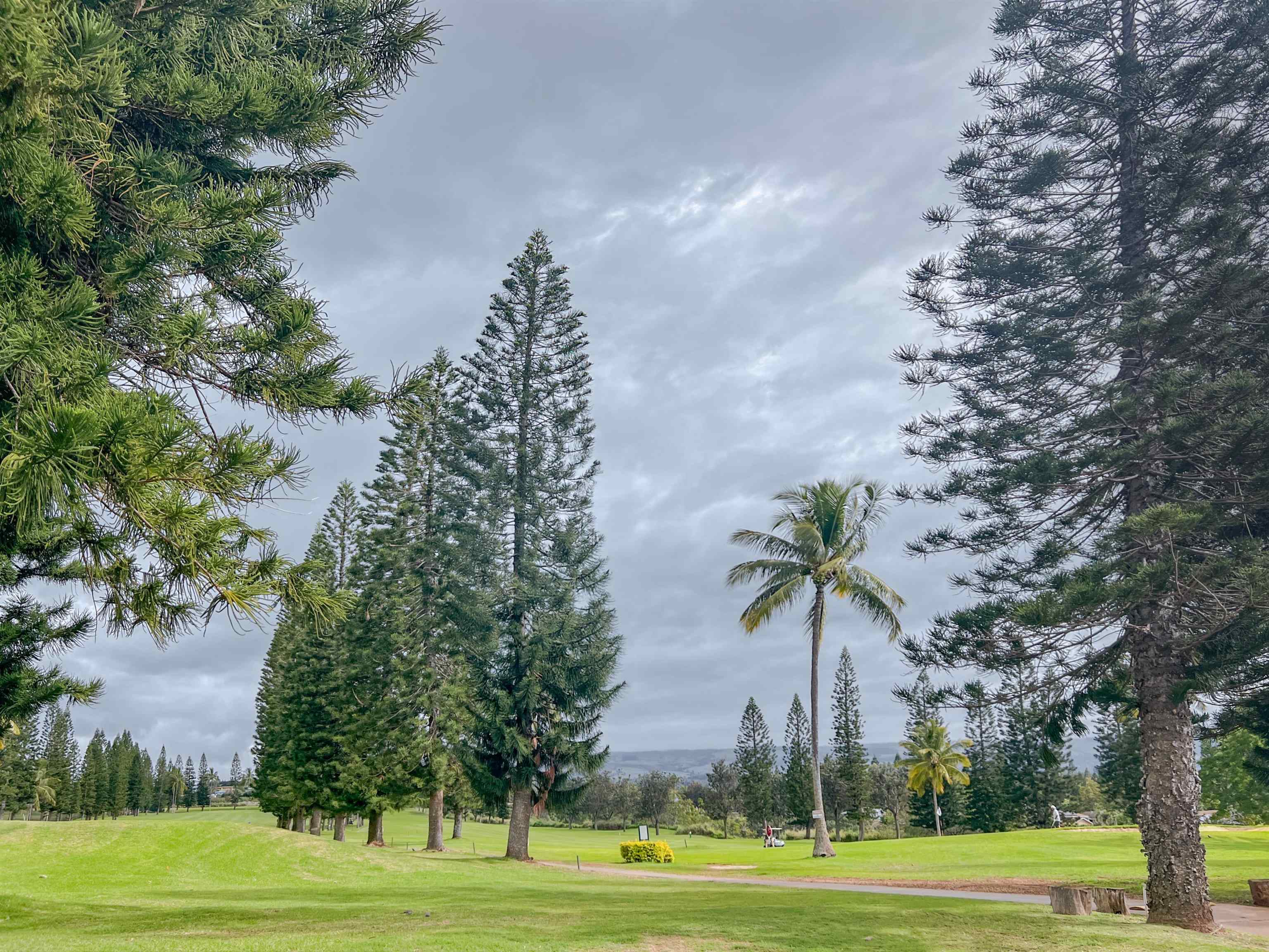 Liholani Golf Villas condo # #3, Makawao, Hawaii - photo 3 of 35