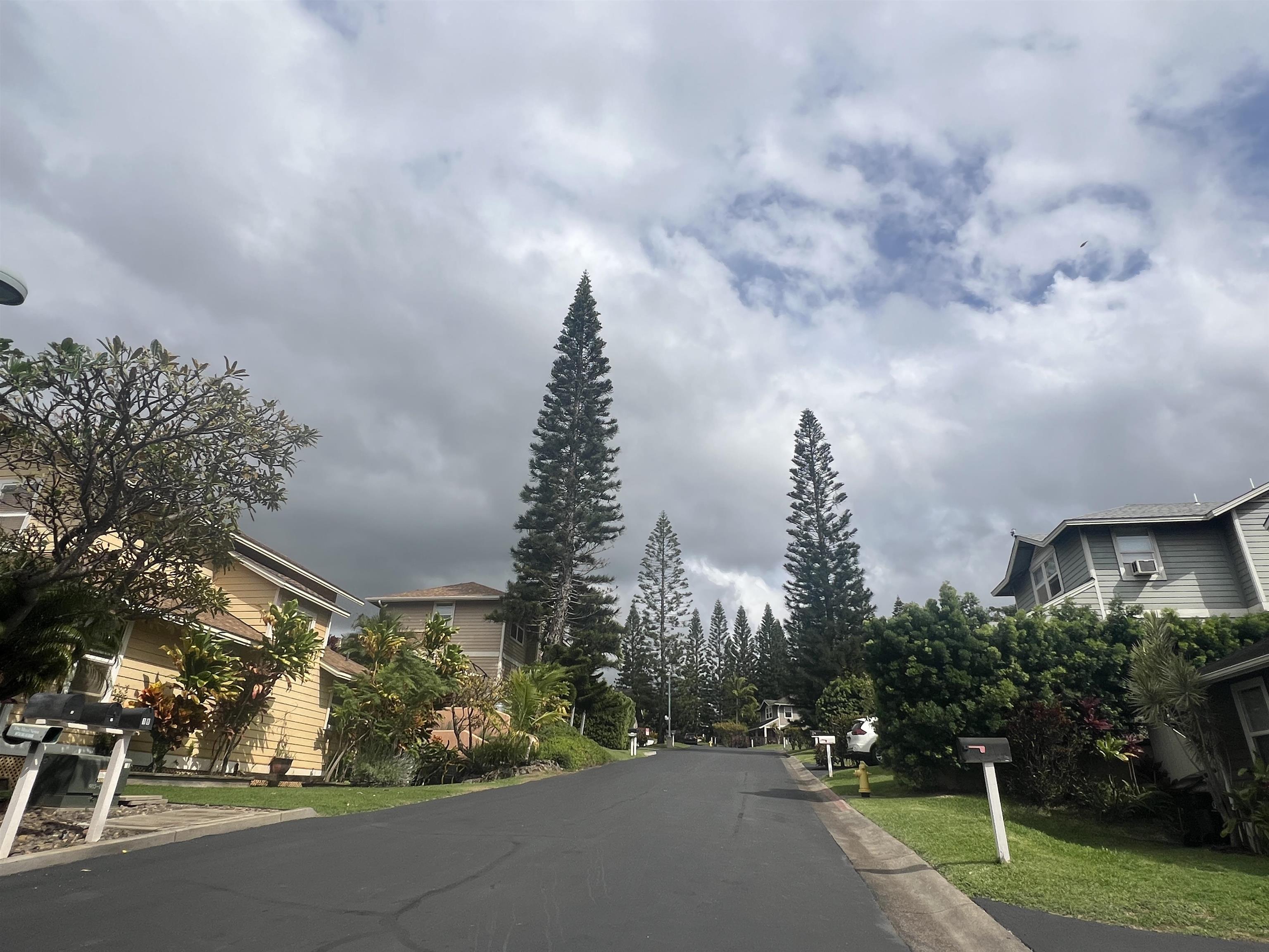 Liholani Golf Villas condo # #3, Makawao, Hawaii - photo 32 of 35
