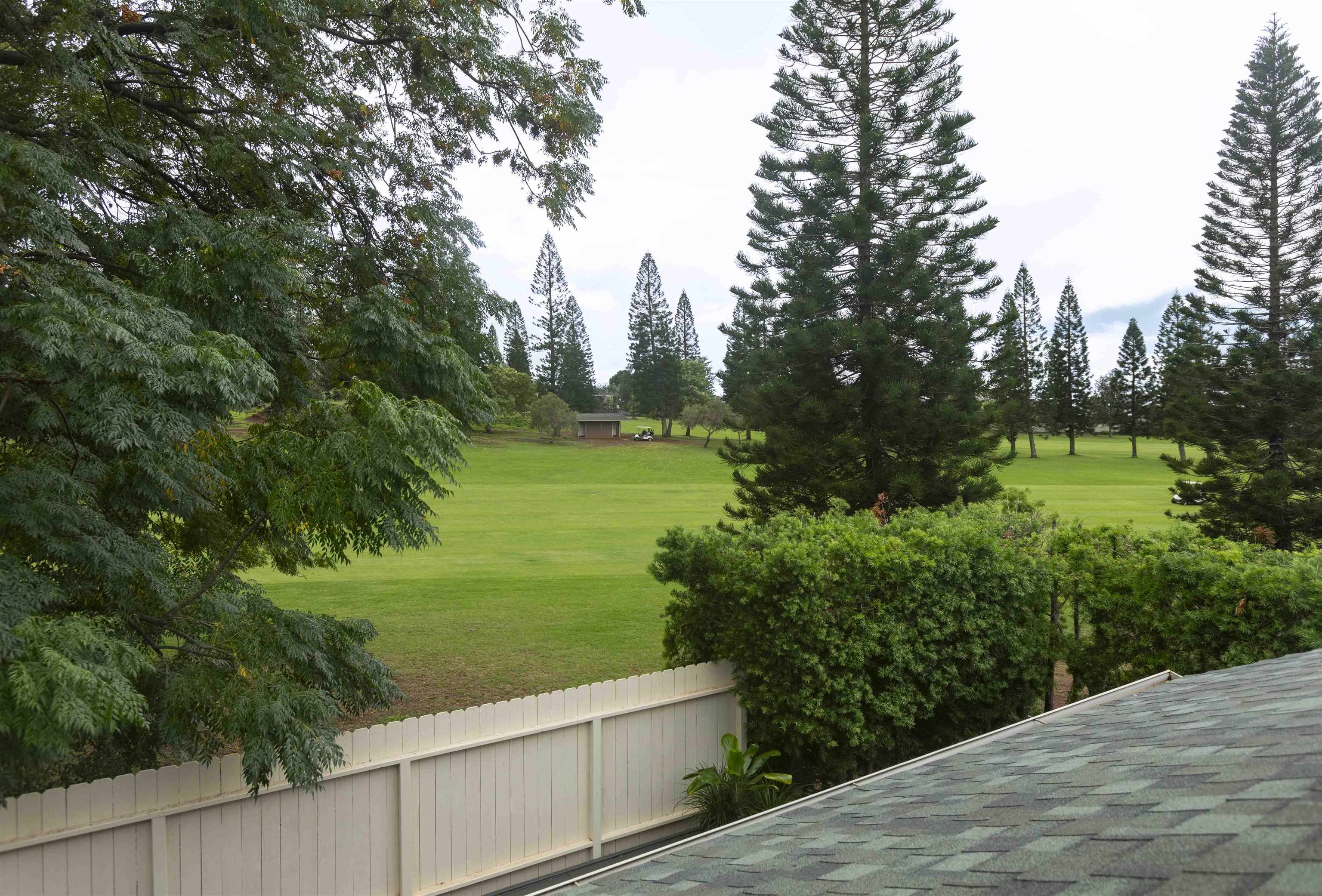 Liholani Golf Villas condo # 9, Pukalani, Hawaii - photo 23 of 28
