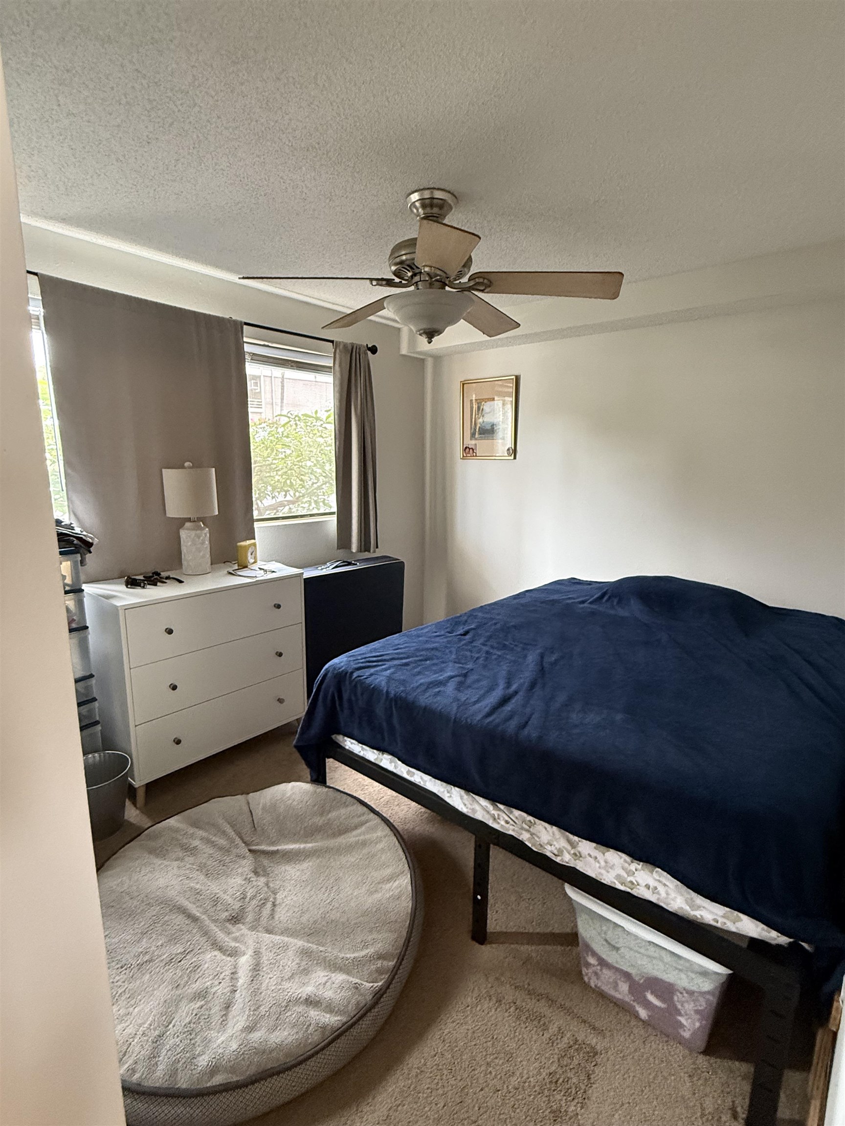 Kihei Shores condo # A-101, Kihei, Hawaii - photo 8 of 14