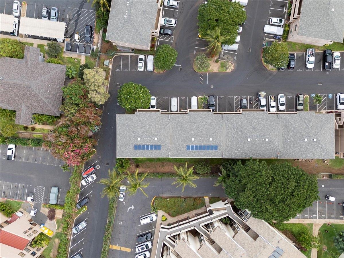 Kihei Shores condo # A107, Kihei, Hawaii - photo 42 of 46