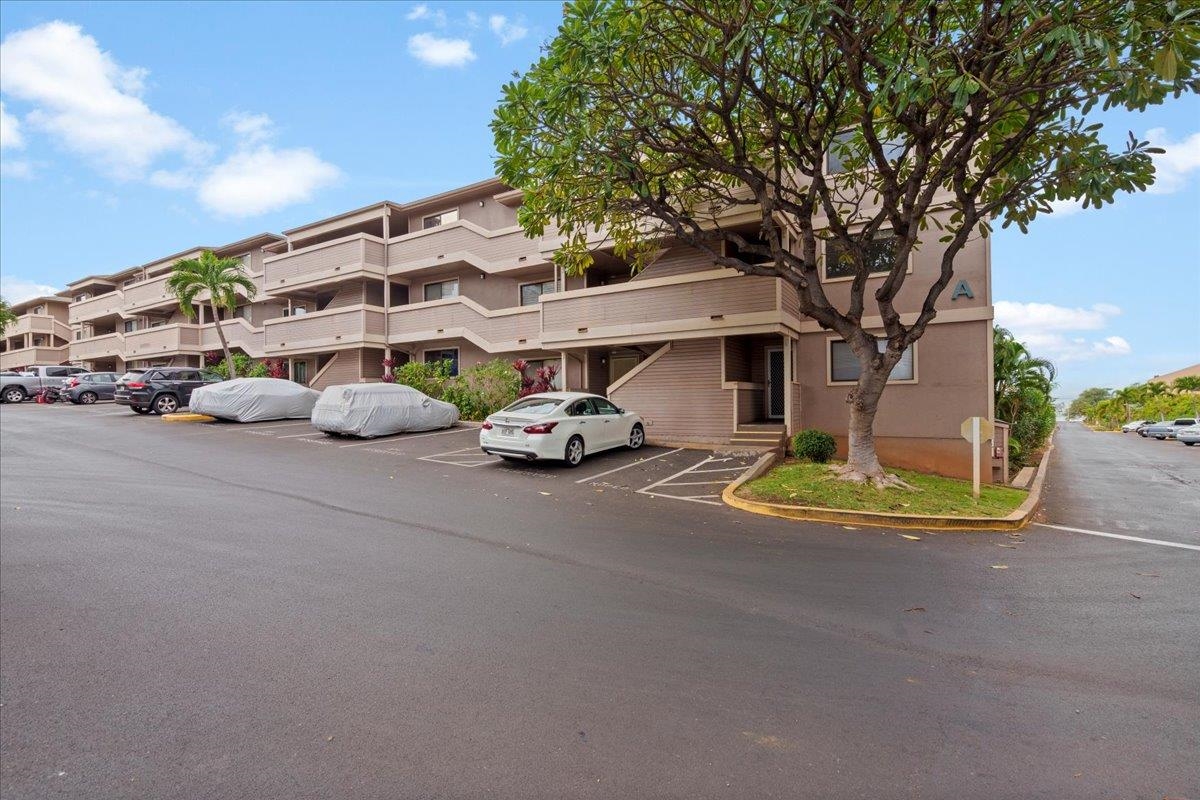 Kihei Shores condo # A107, Kihei, Hawaii - photo 44 of 46