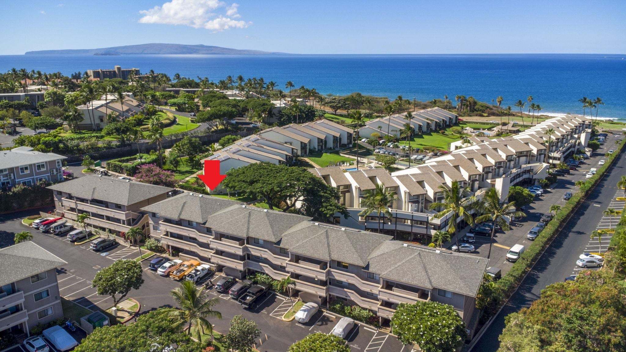 Kihei Shores condo # A202, Kihei, Hawaii - photo 3 of 43