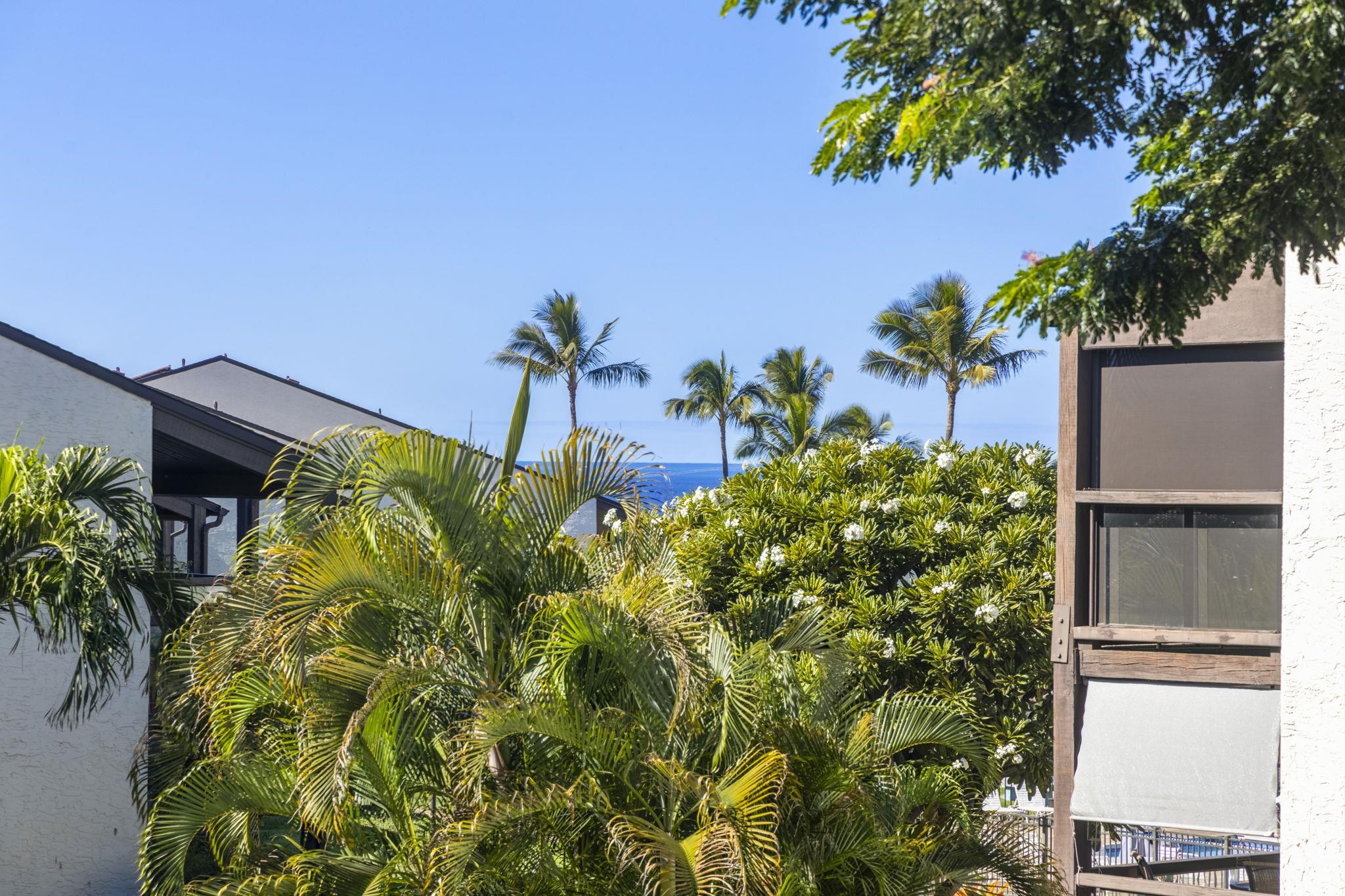 Kihei Shores condo # A202, Kihei, Hawaii - photo 4 of 43